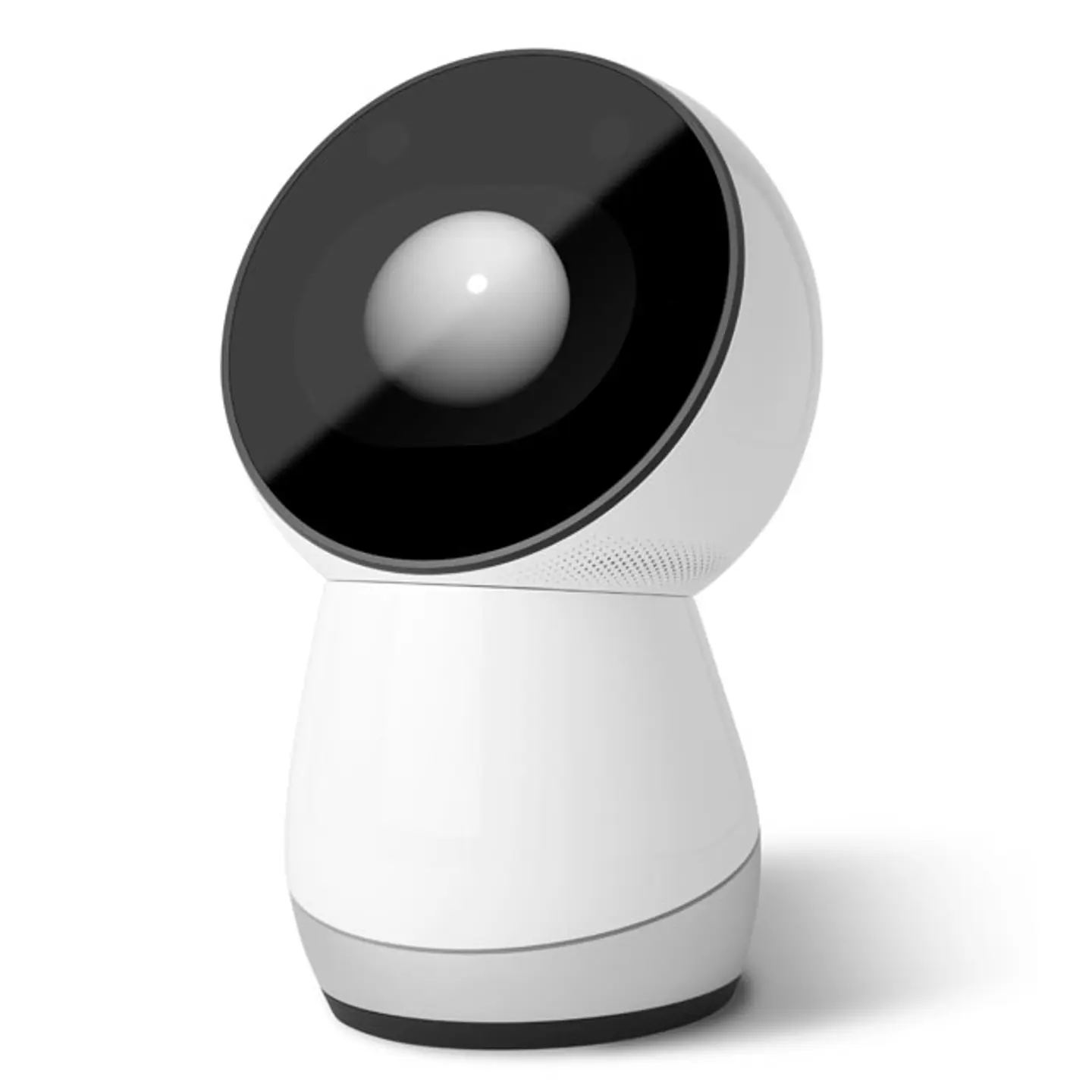 jibo