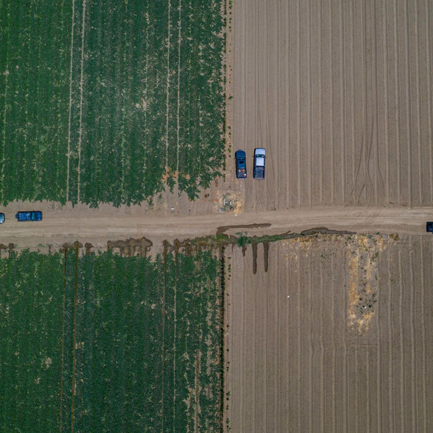 Farm Operations As Californians Are Asked To Use Less Water And Power