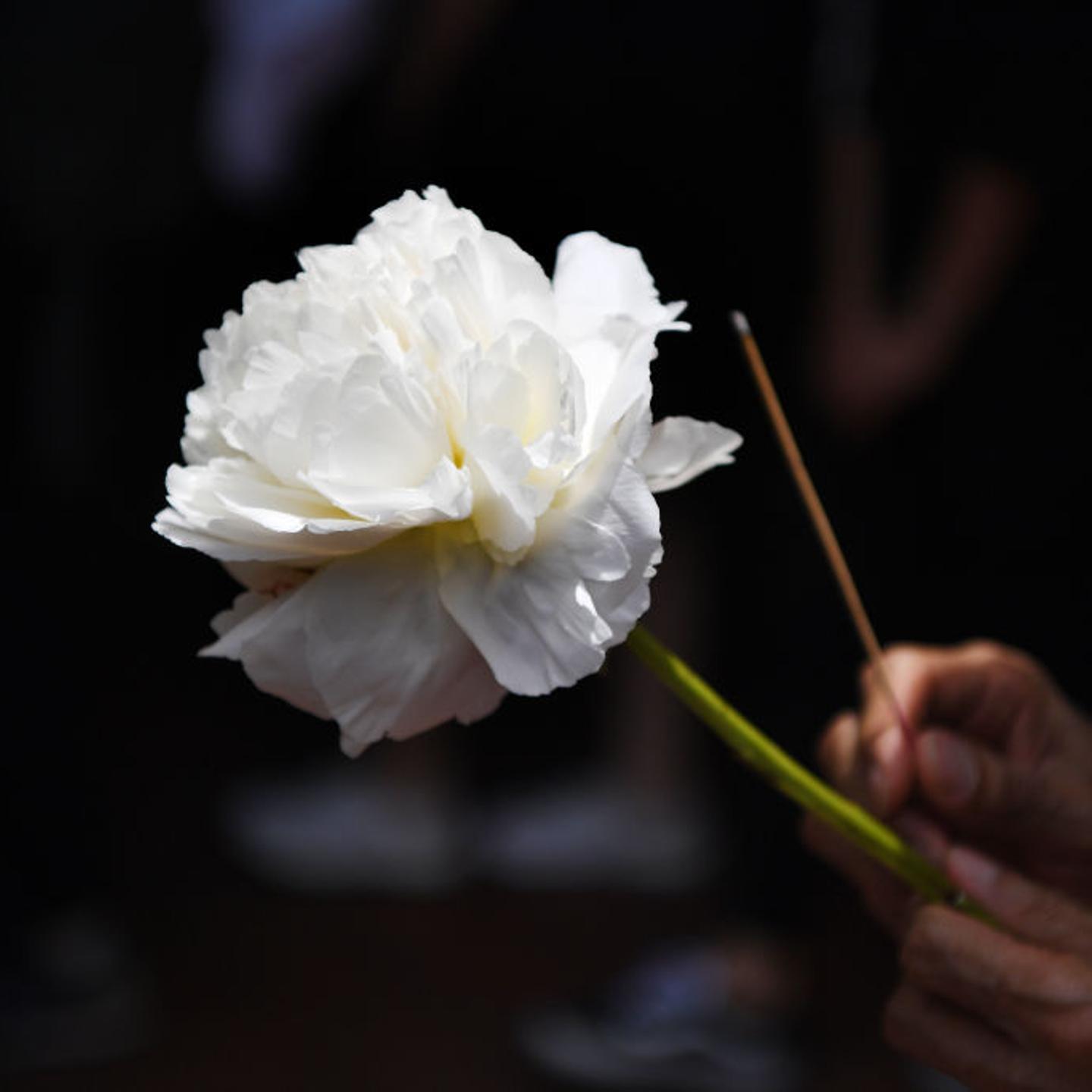 HONG KONG-CHINA-POLITICS-CRIME