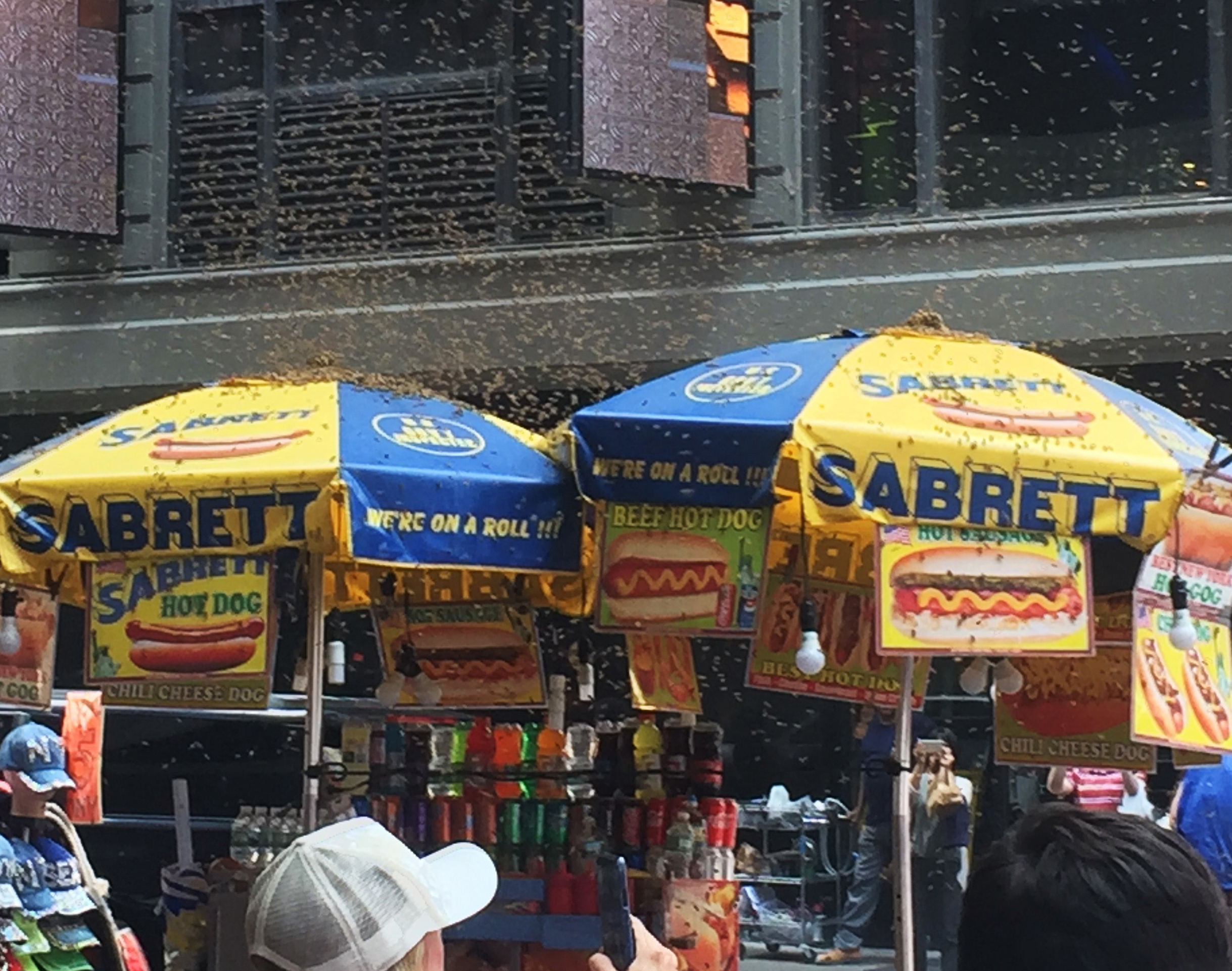 25,000 bees swarm a hot dog stand in NYC