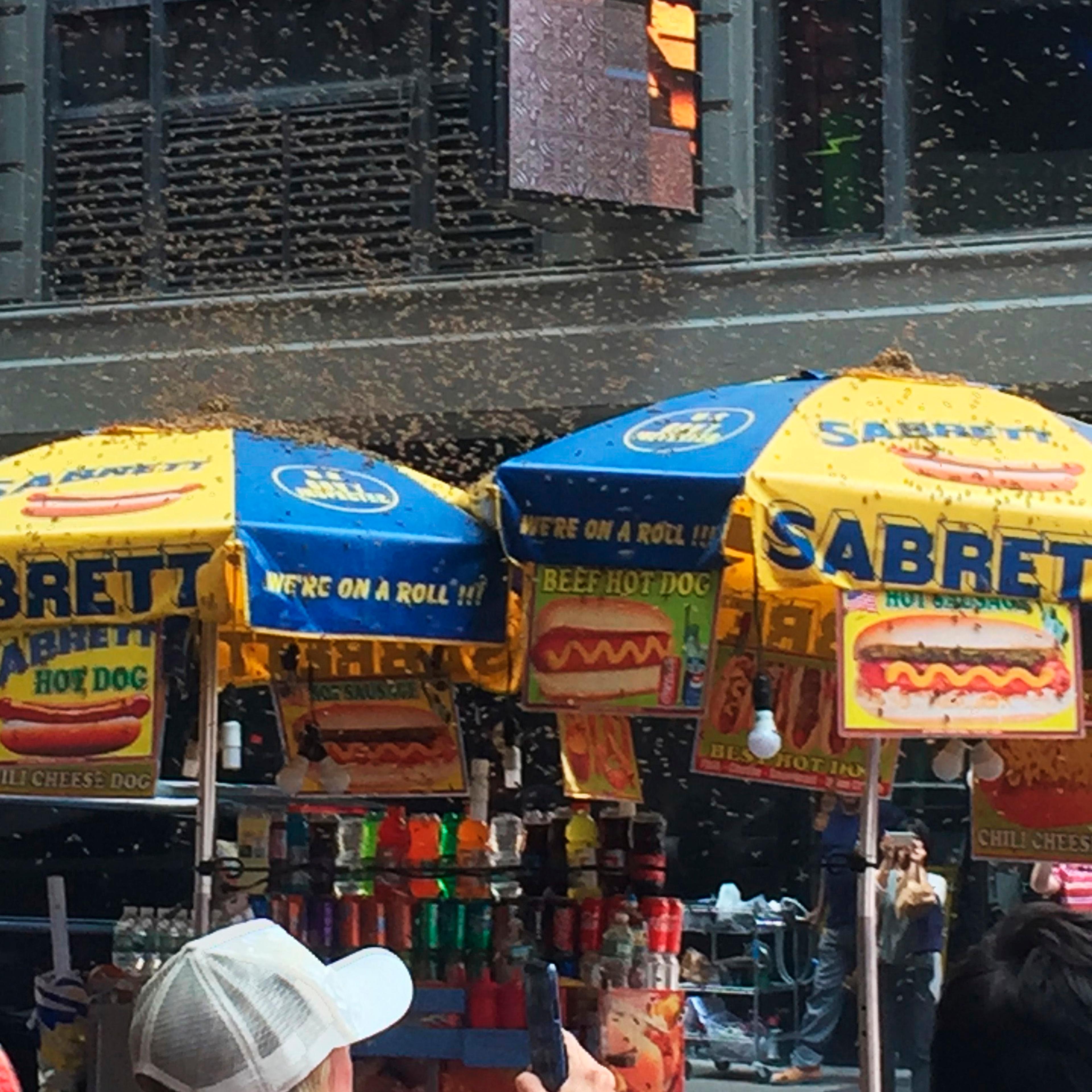 25,000 bees swarm a hot dog stand in NYC