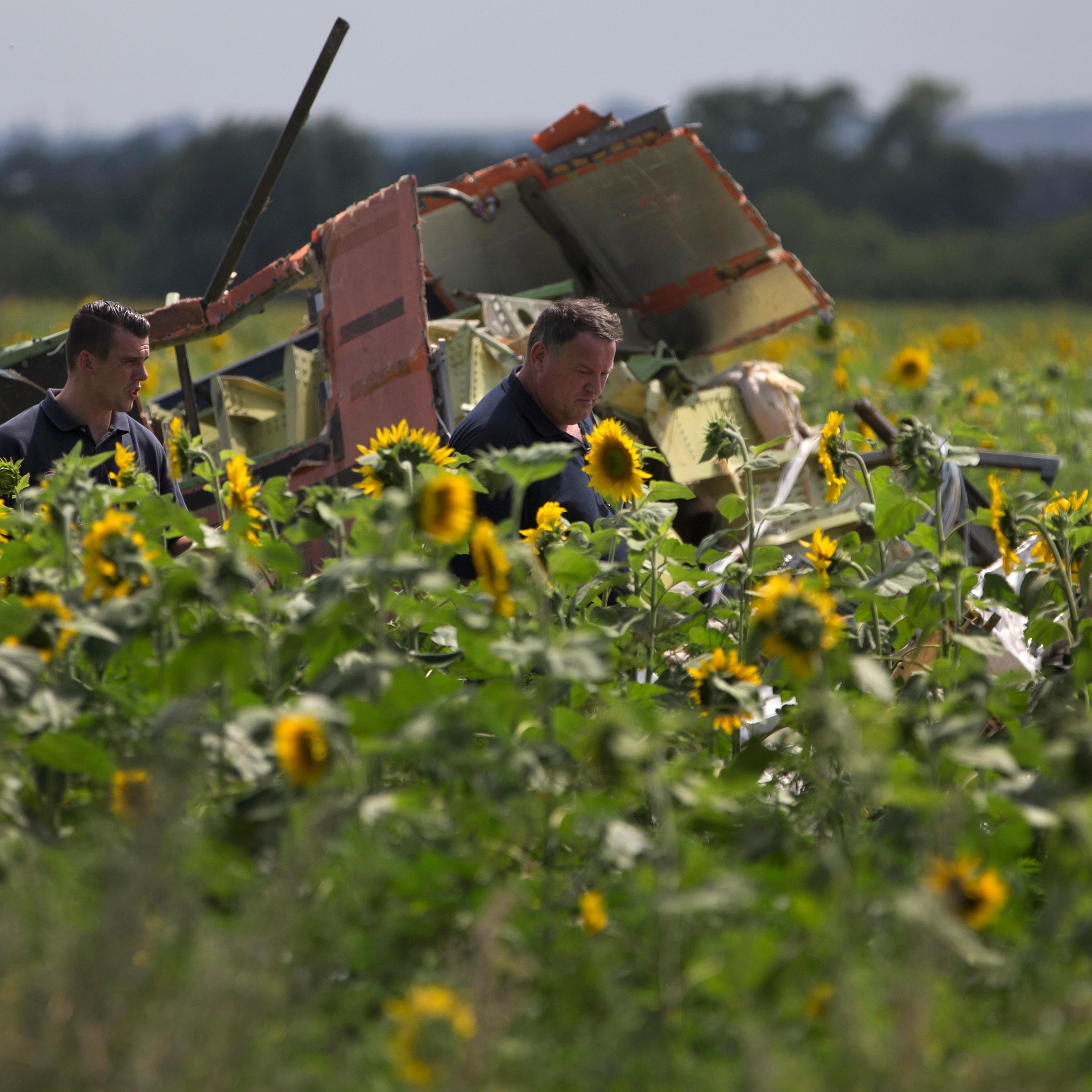 Malaysia Ukraine Plane
