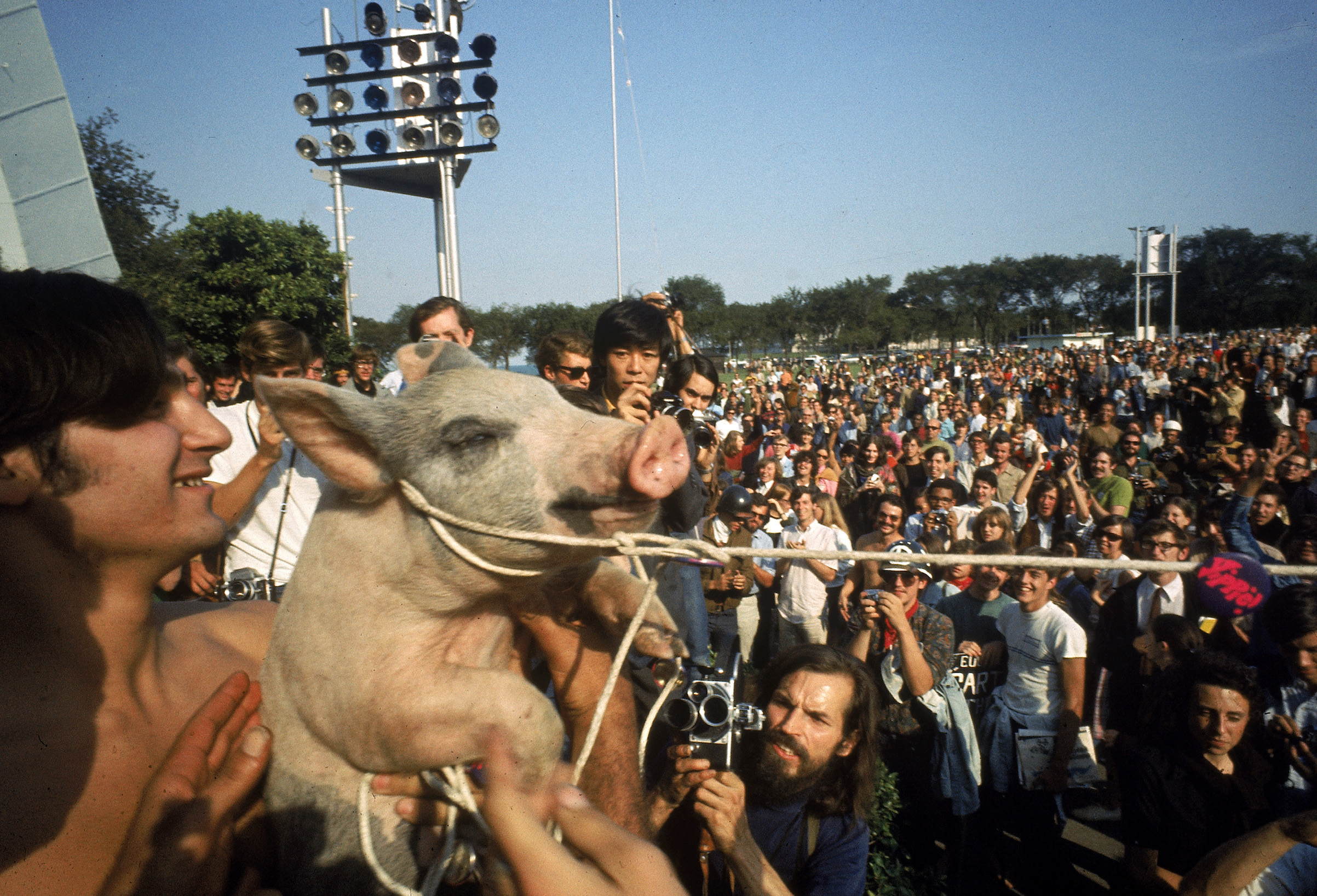 Yippies parading their Presidential candidate Pigasus the