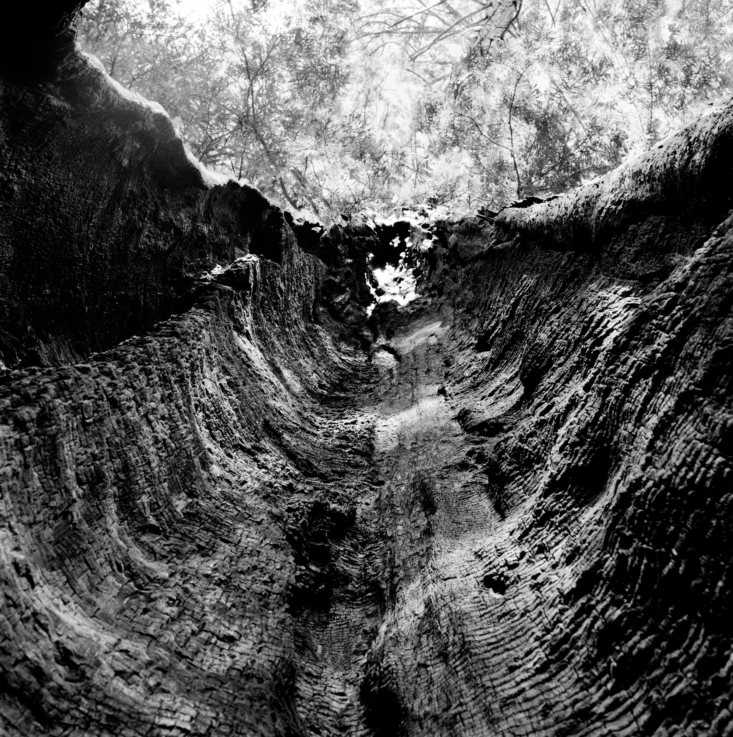 New Guggenheim Fellows Reflect on Landscape Photography