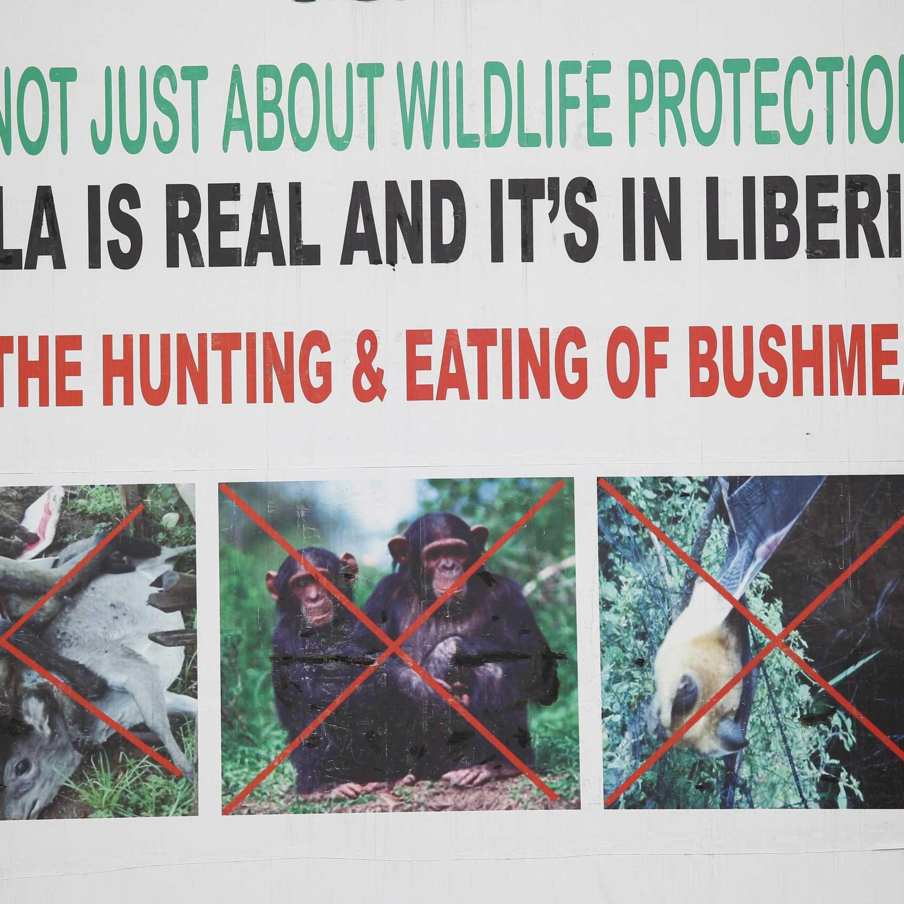 A billboard warning against eating wild animals, seen in Monrovia, Liberia, Oct. 6, 2014.