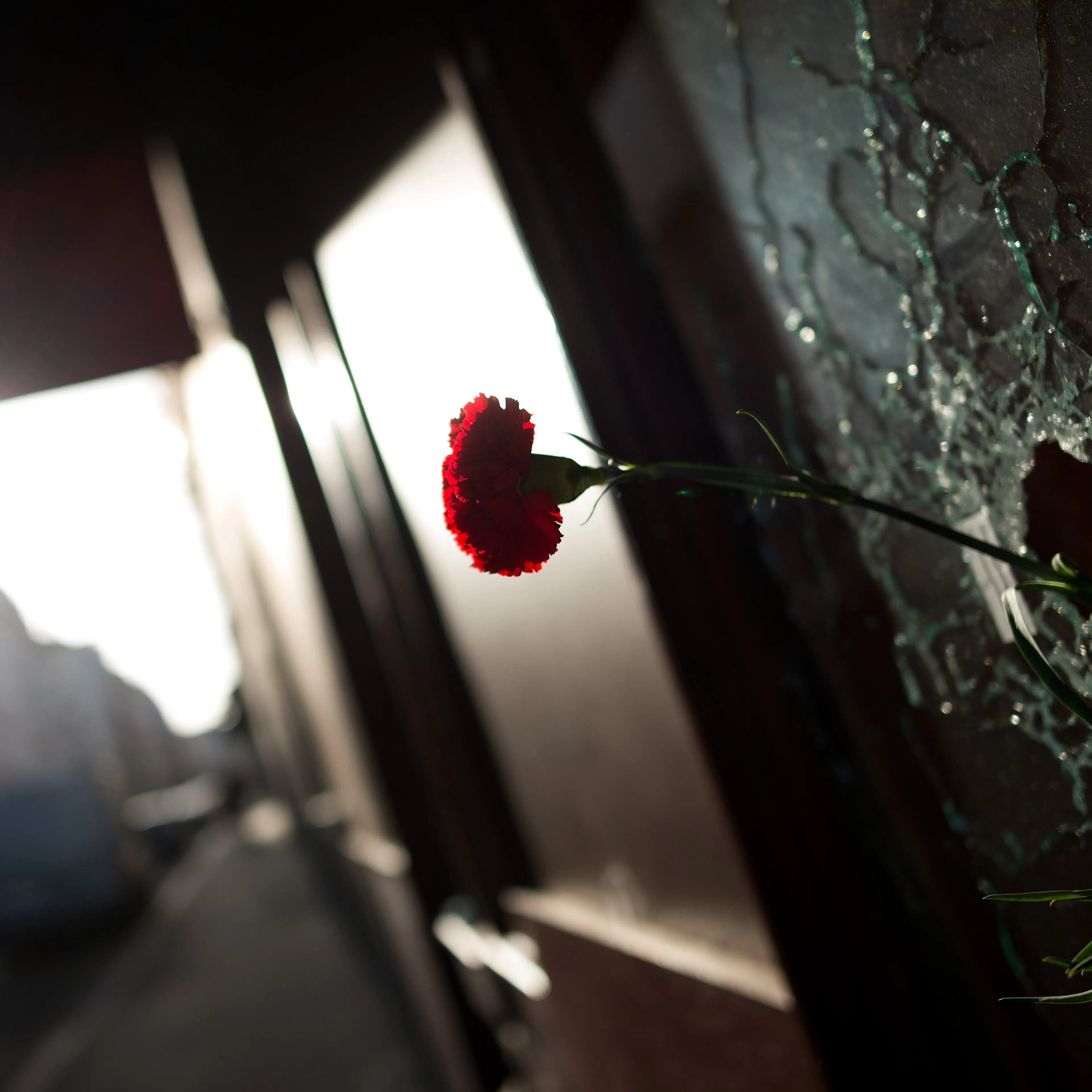 Aftermath of Paris terrorist attacks