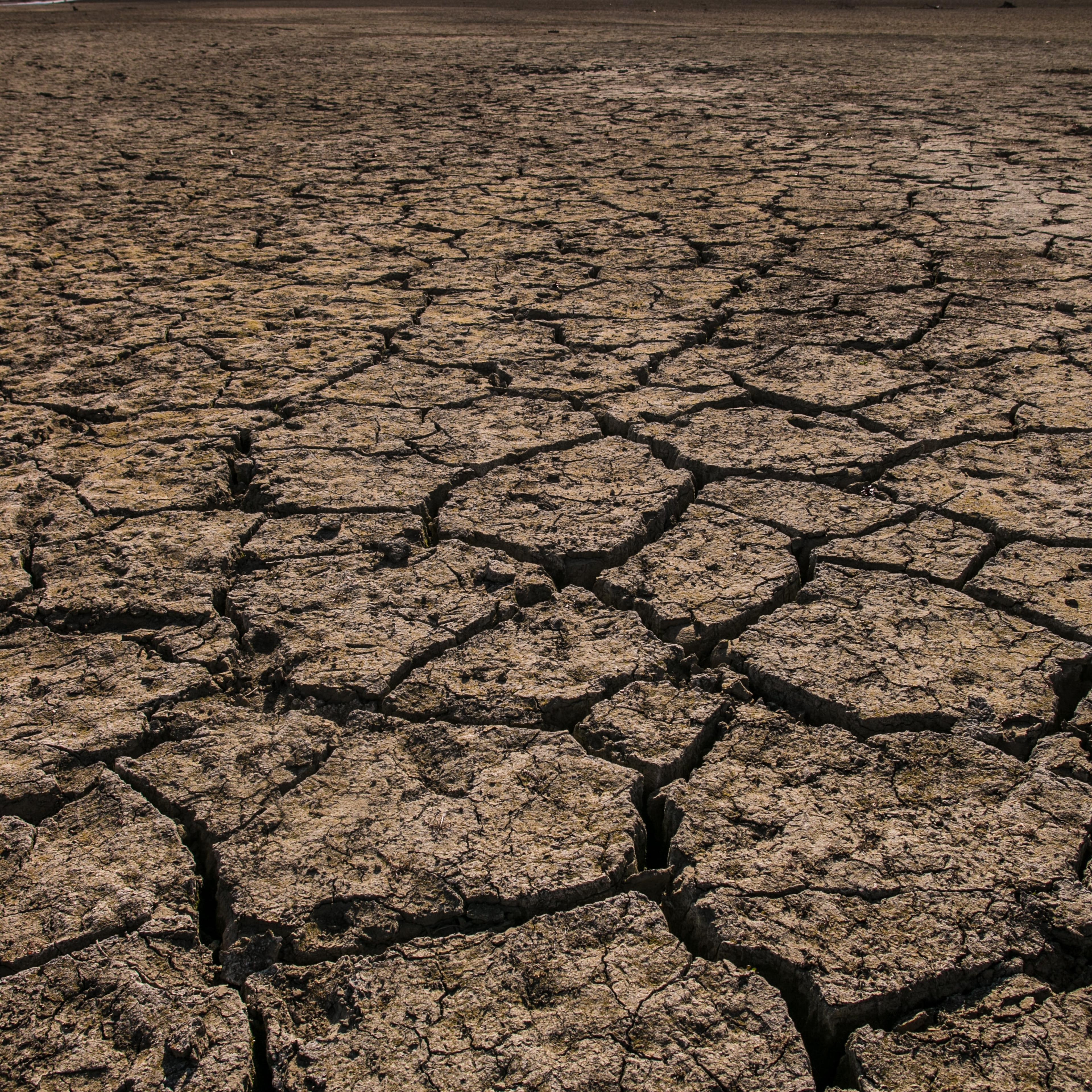 California's Drought Becomes Critical