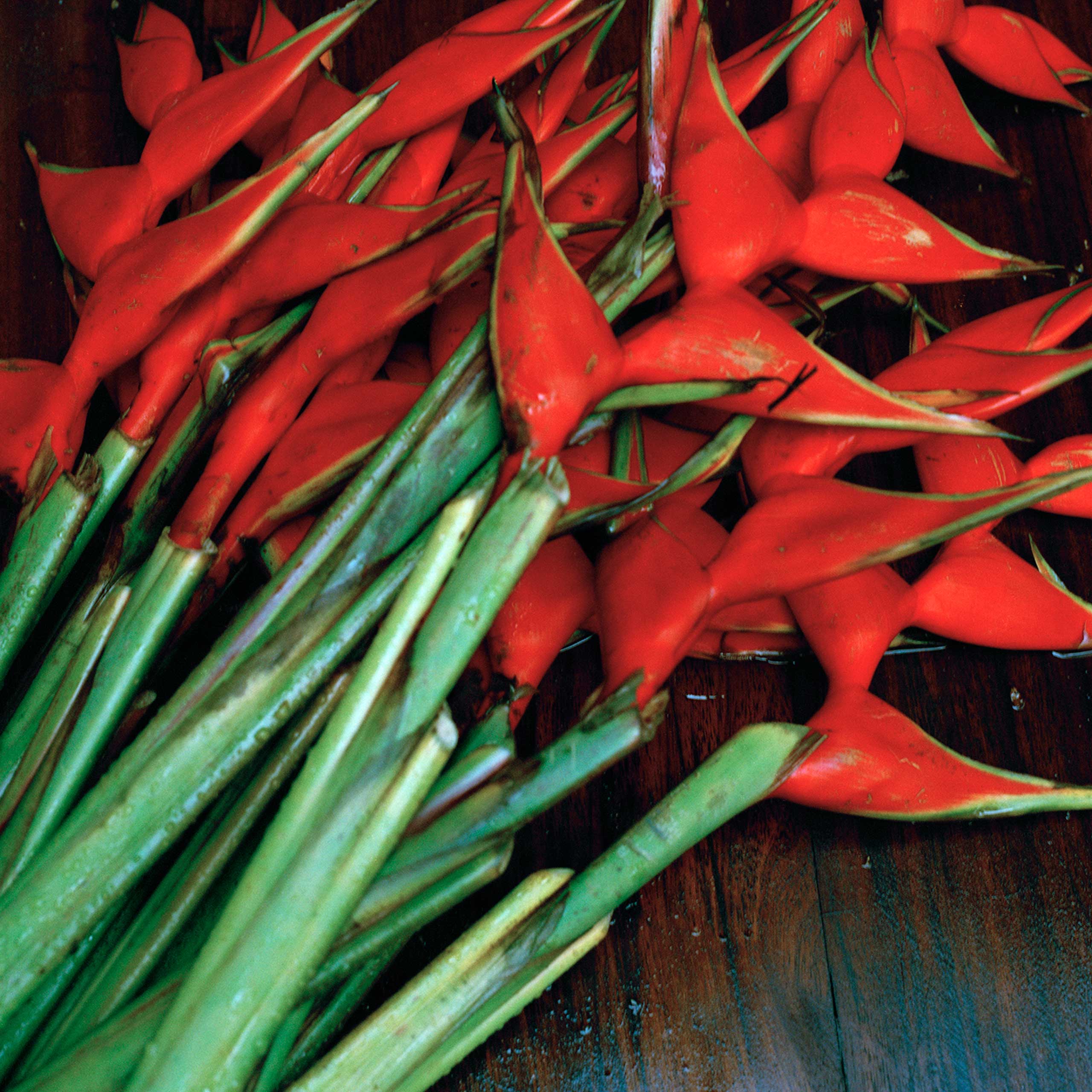 07-Mimi-Cherono-Ng-ok-Untitled-2015-red-flowers-plants