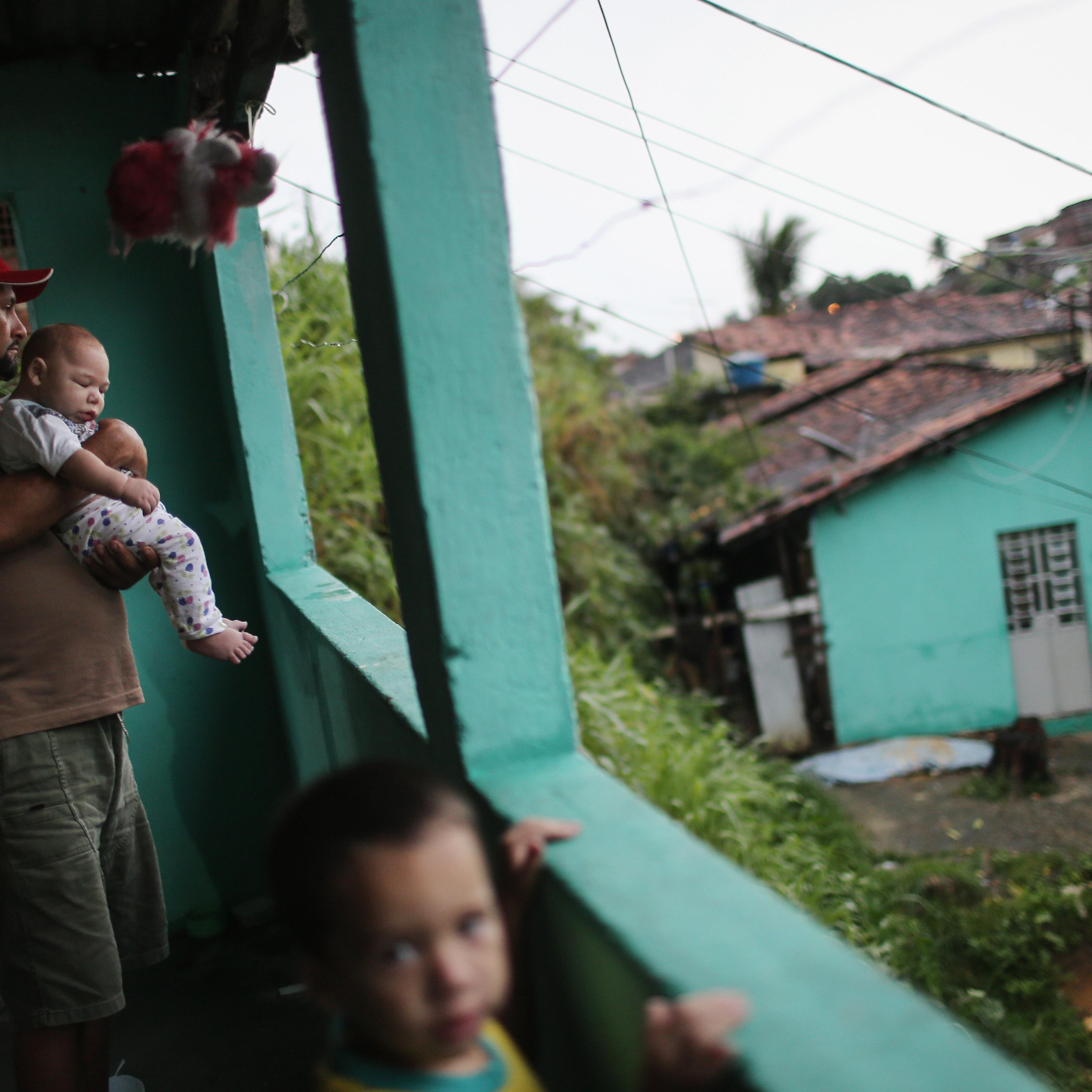 Brazil Faces New Health Epidemic As Mosquito-Borne Zika Virus Spreads Rapidly