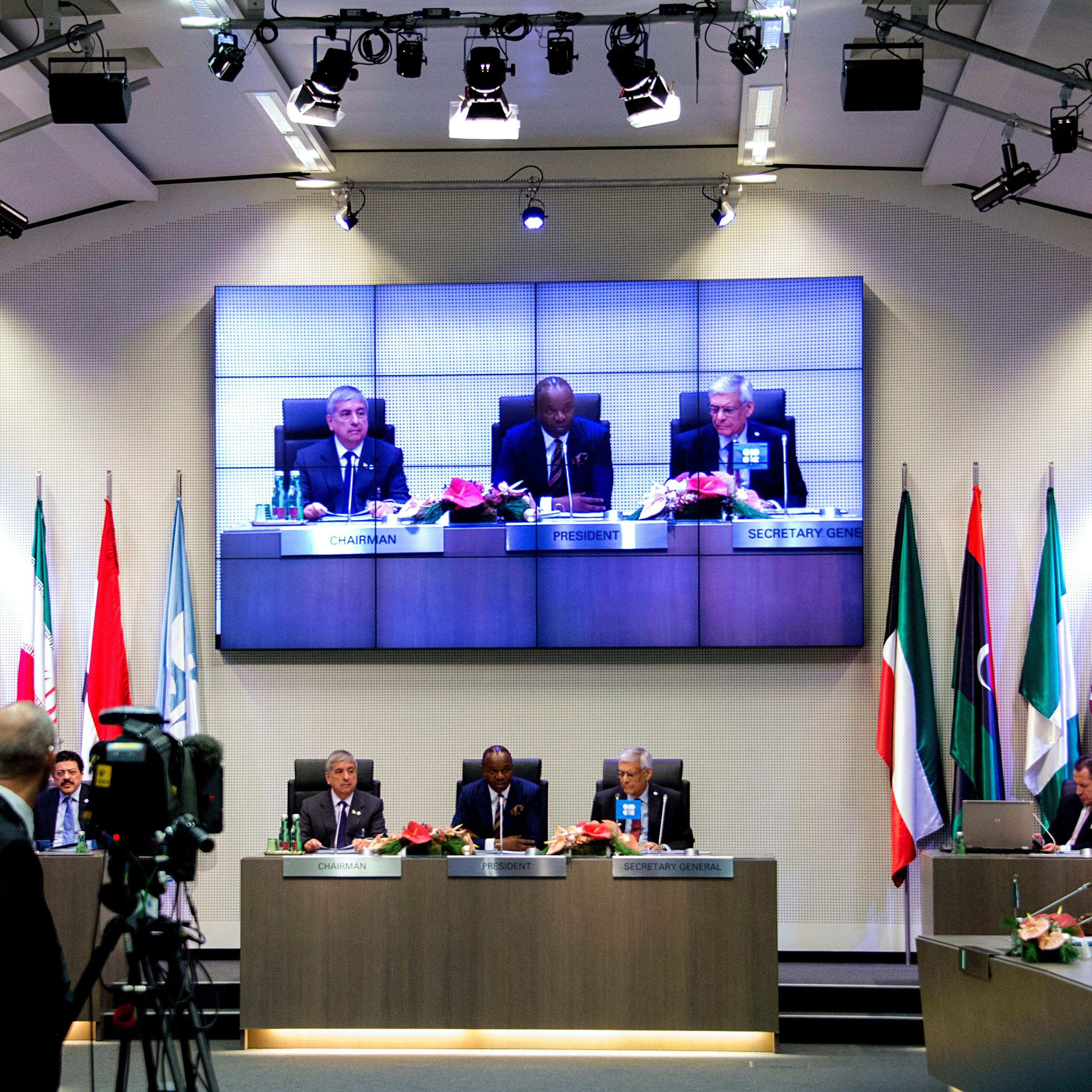 AUSTRIA-COMMODITIES-ENERGY-OIL-OPEC
