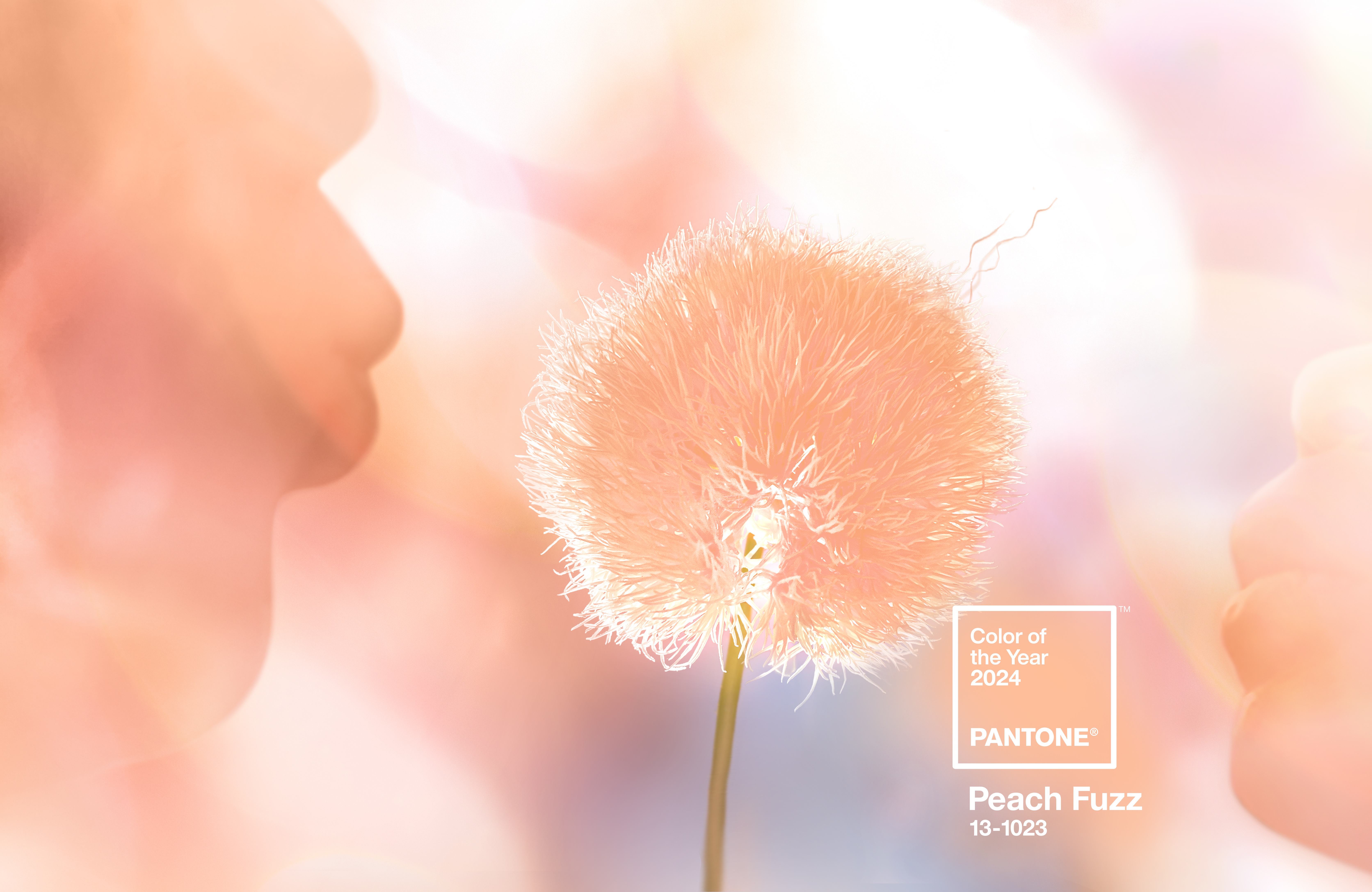 Courtesy of Pantone