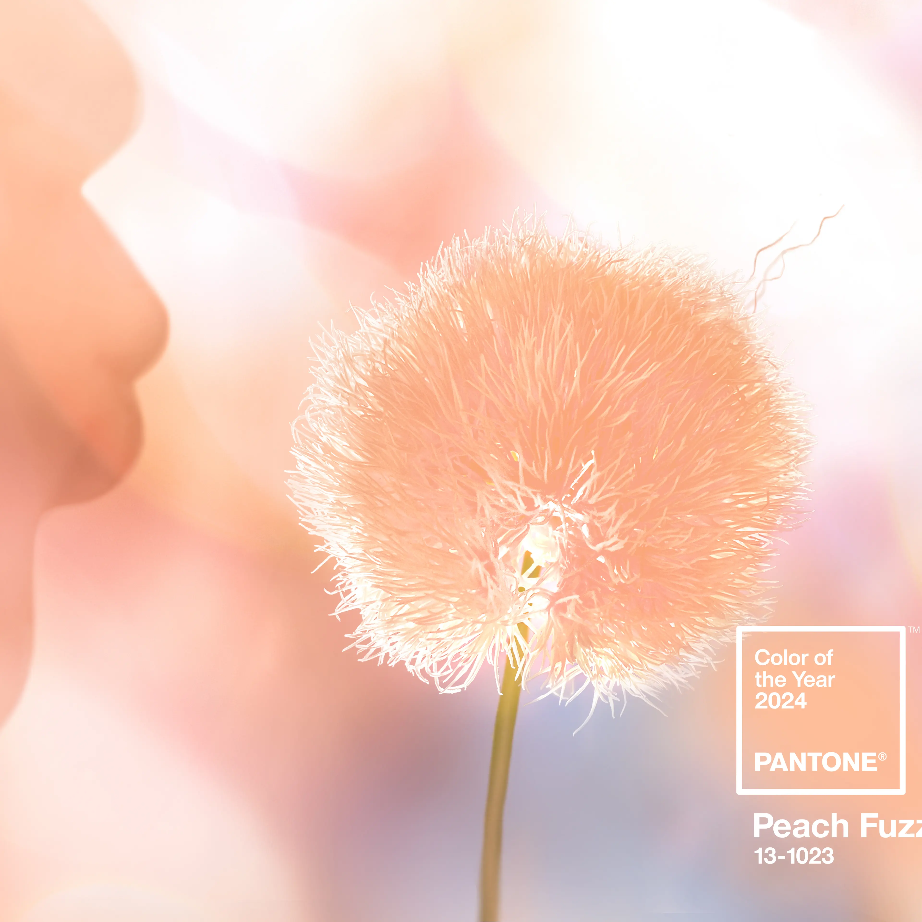 Courtesy of Pantone