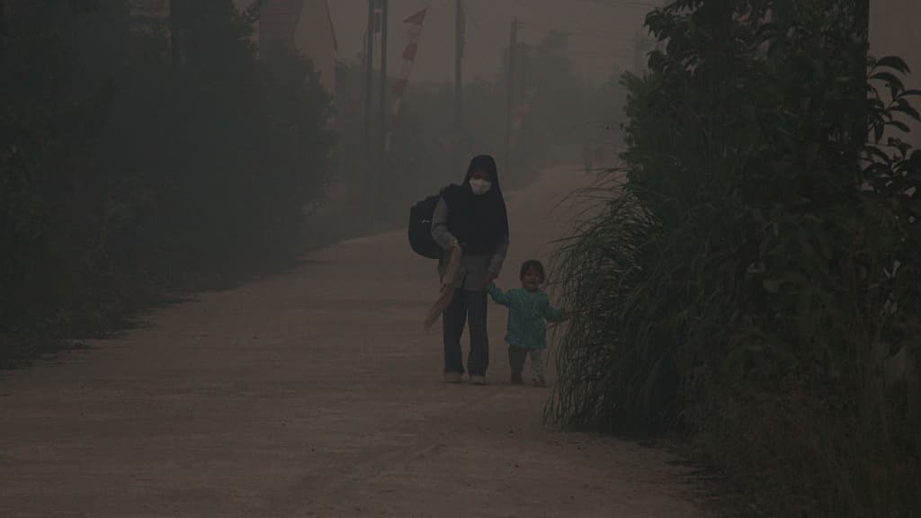 Why Southeast Asia Is Facing a Haze Crisis