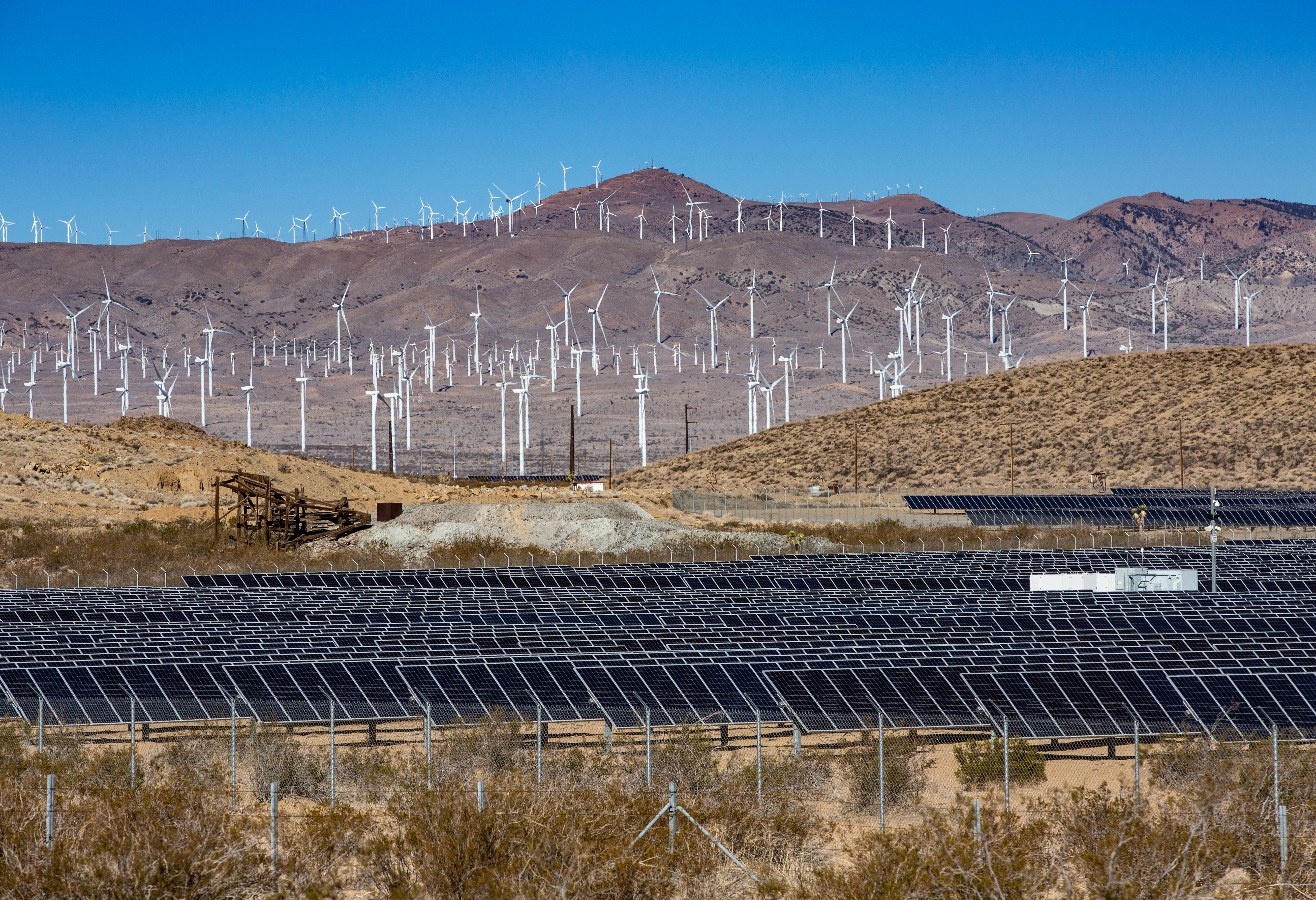 Exploring California's Mojave Desert