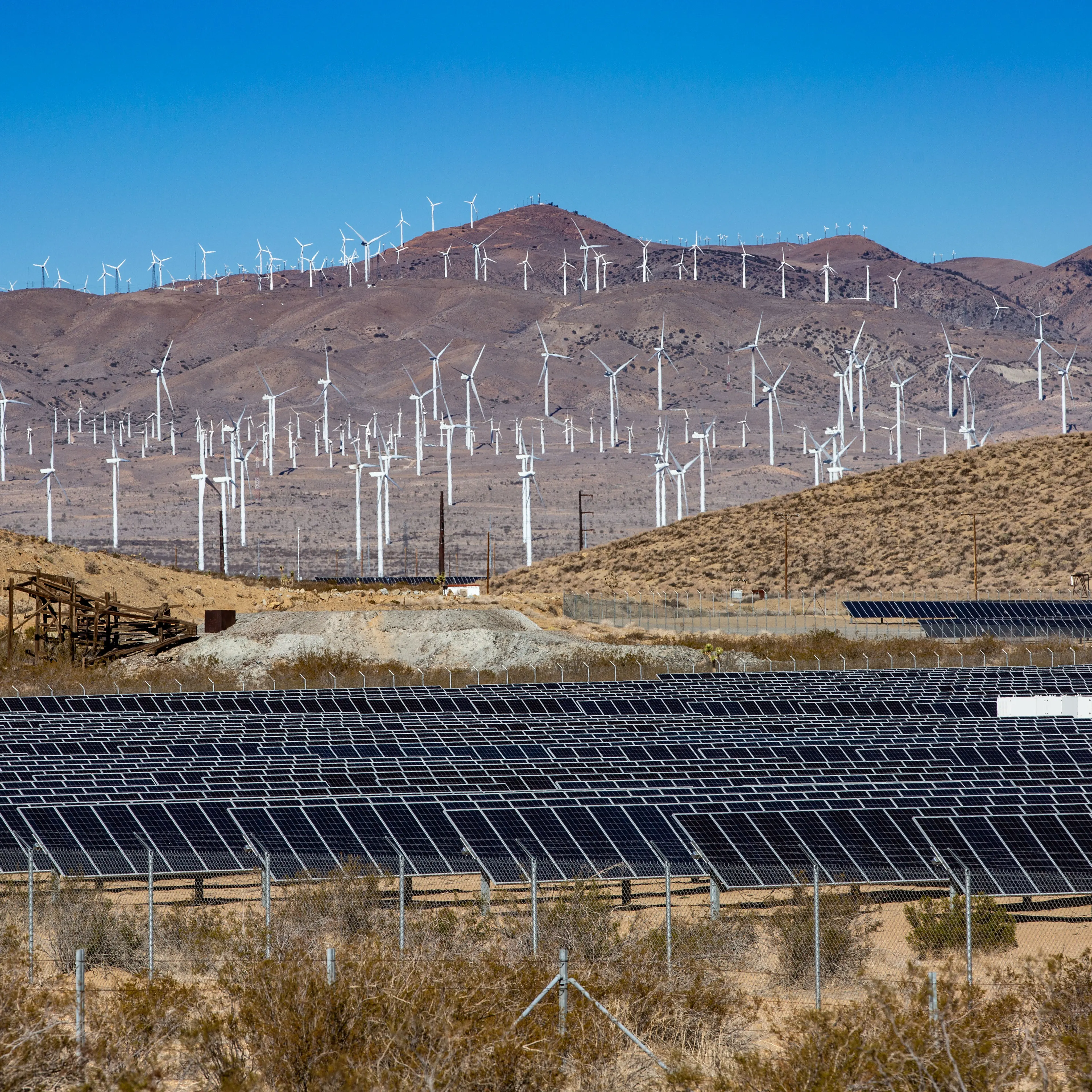 Exploring California's Mojave Desert