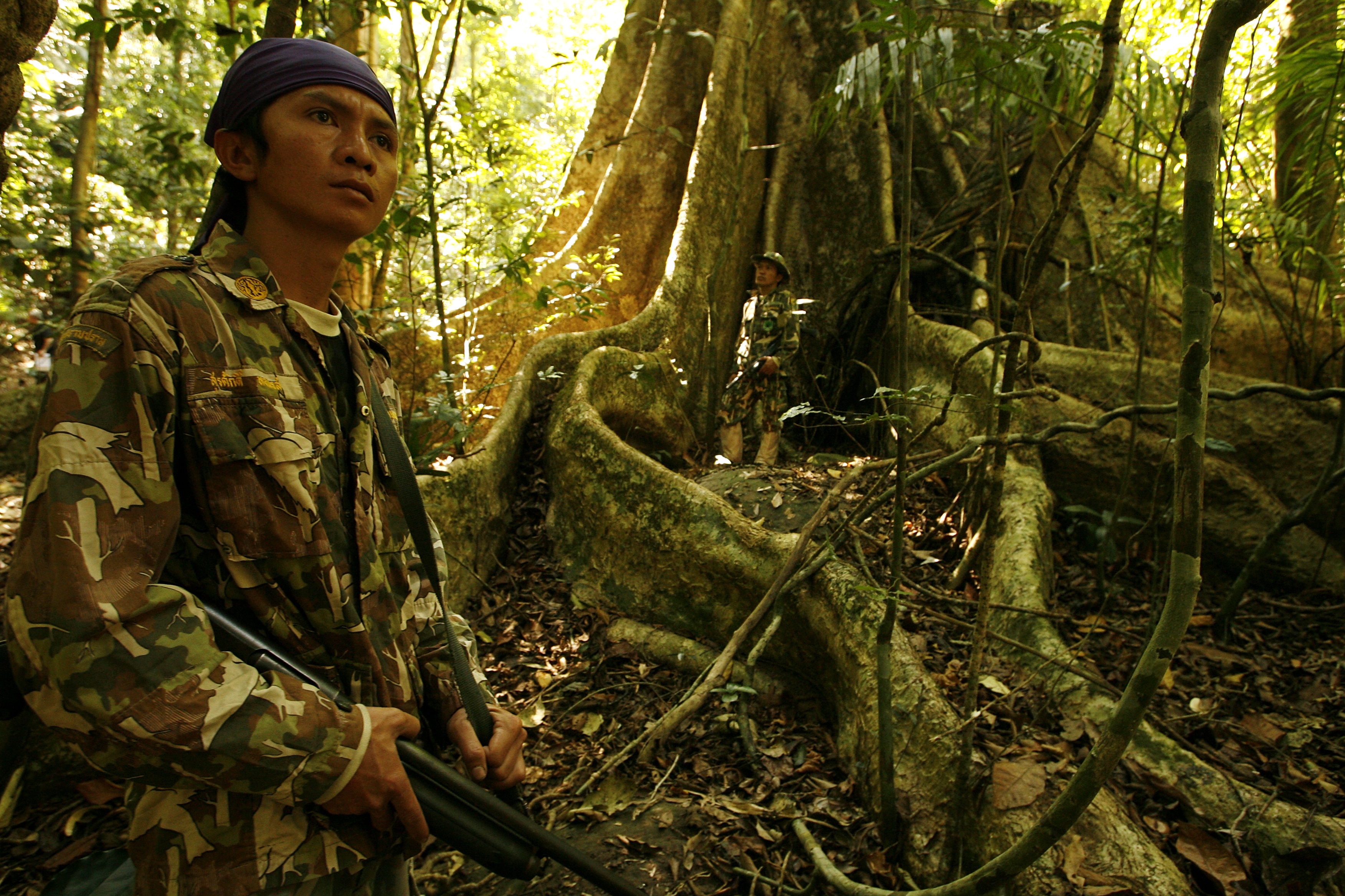 Thailand, Khao Yai National Park, placed on UNESCO's World Heritage list in Thailand in February, 2008.