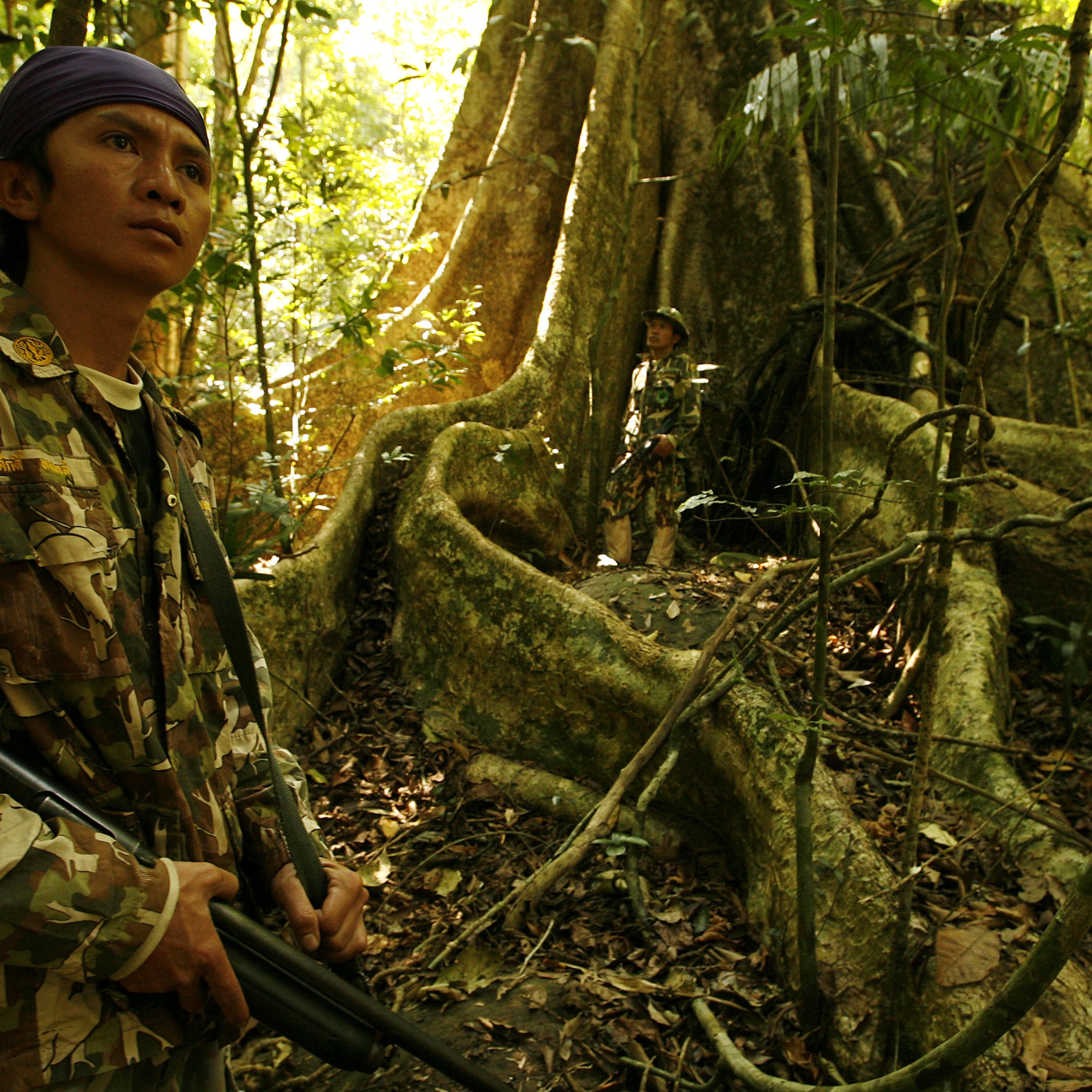 Thailand, Khao Yai National Park, placed on UNESCO's World Heritage list in Thailand in February, 2008.