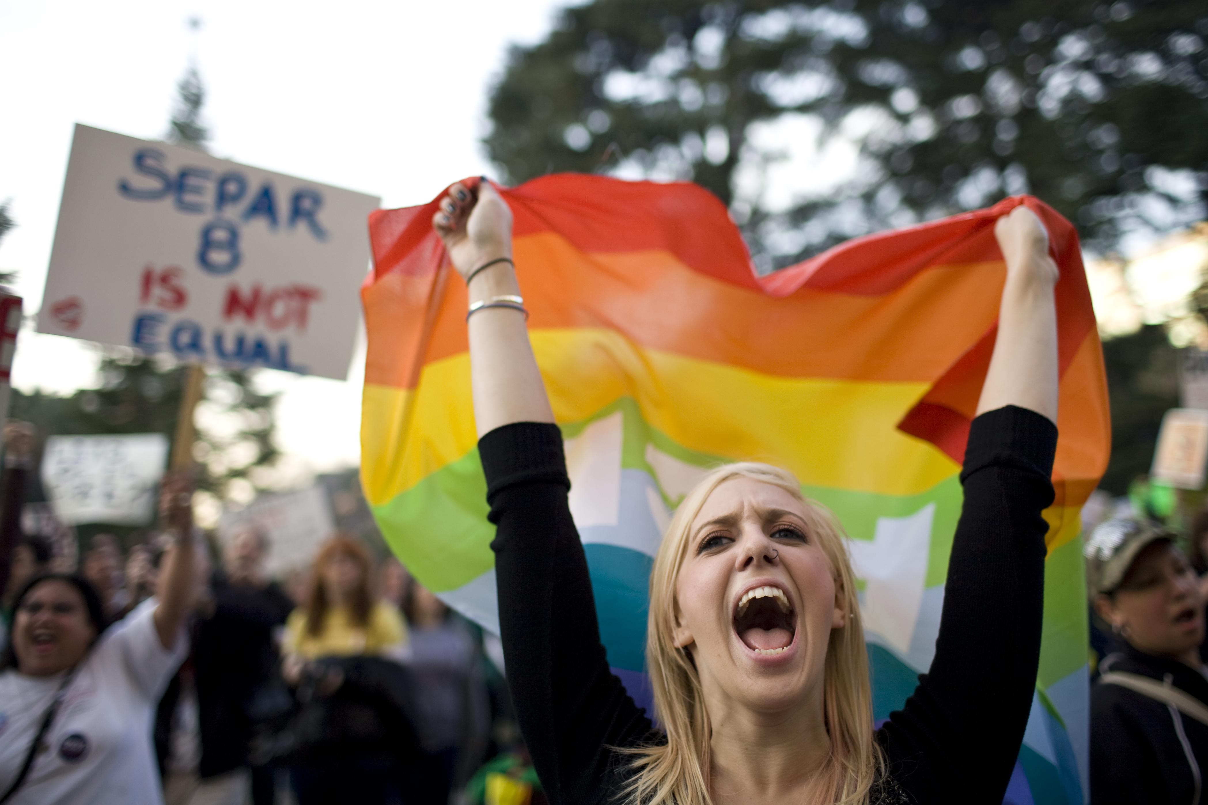 Harlee Demeerleer cheers in support of gay marriage on the steps of the State Capitol on Nov. 22, 2008 in Sacramento, California.