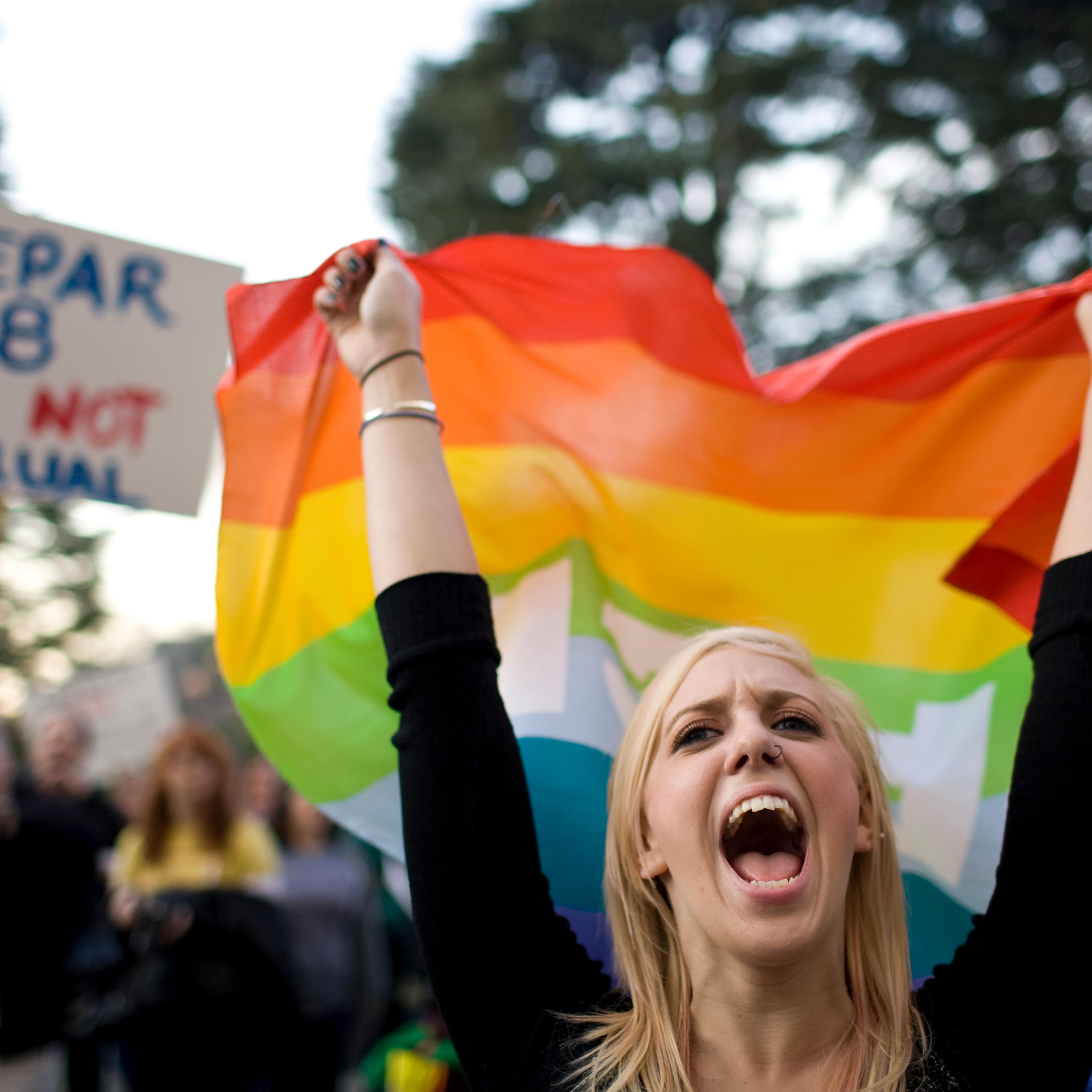 Harlee Demeerleer cheers in support of gay marriage on the steps of the State Capitol on Nov. 22, 2008 in Sacramento, California.