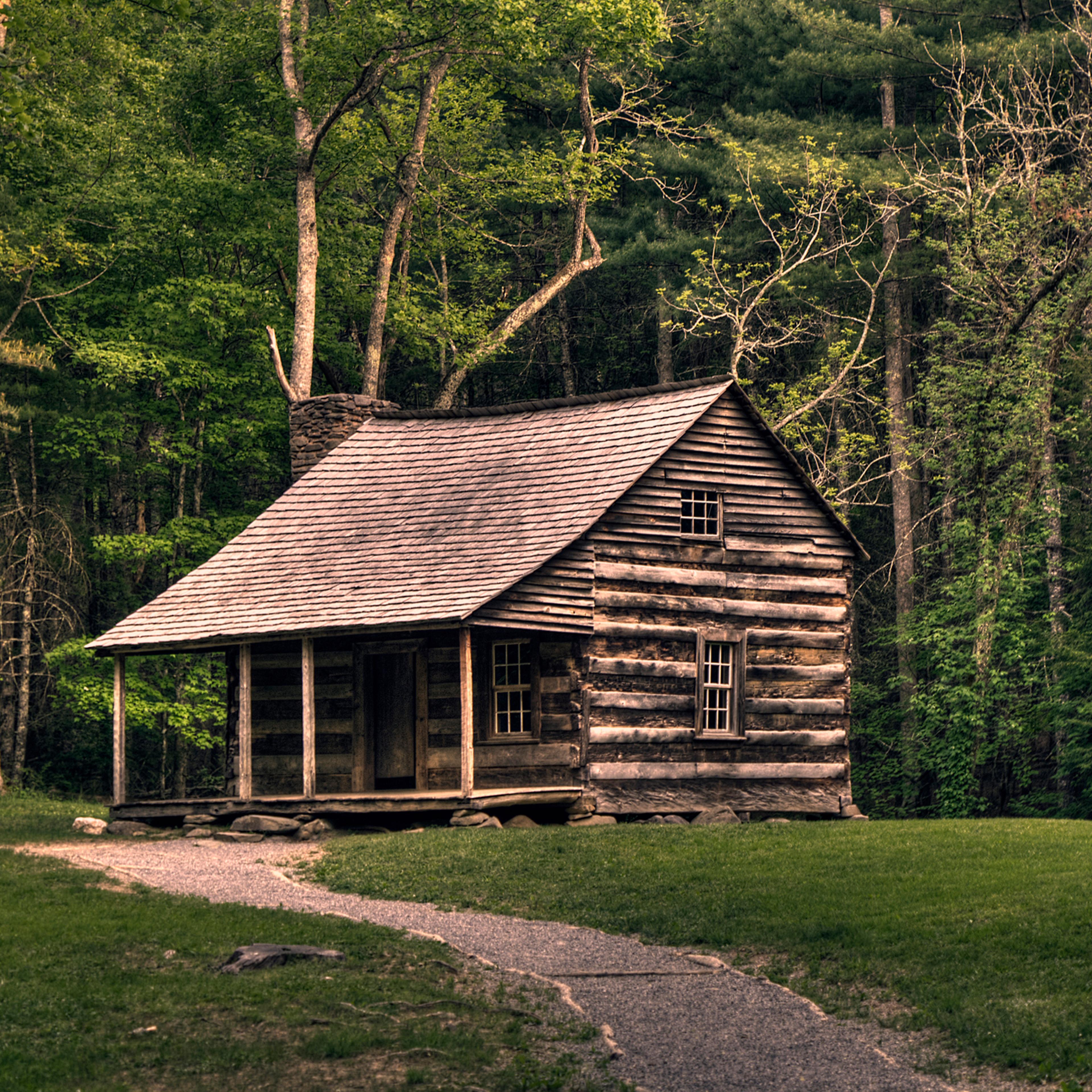 Lone wooden cabin in woods