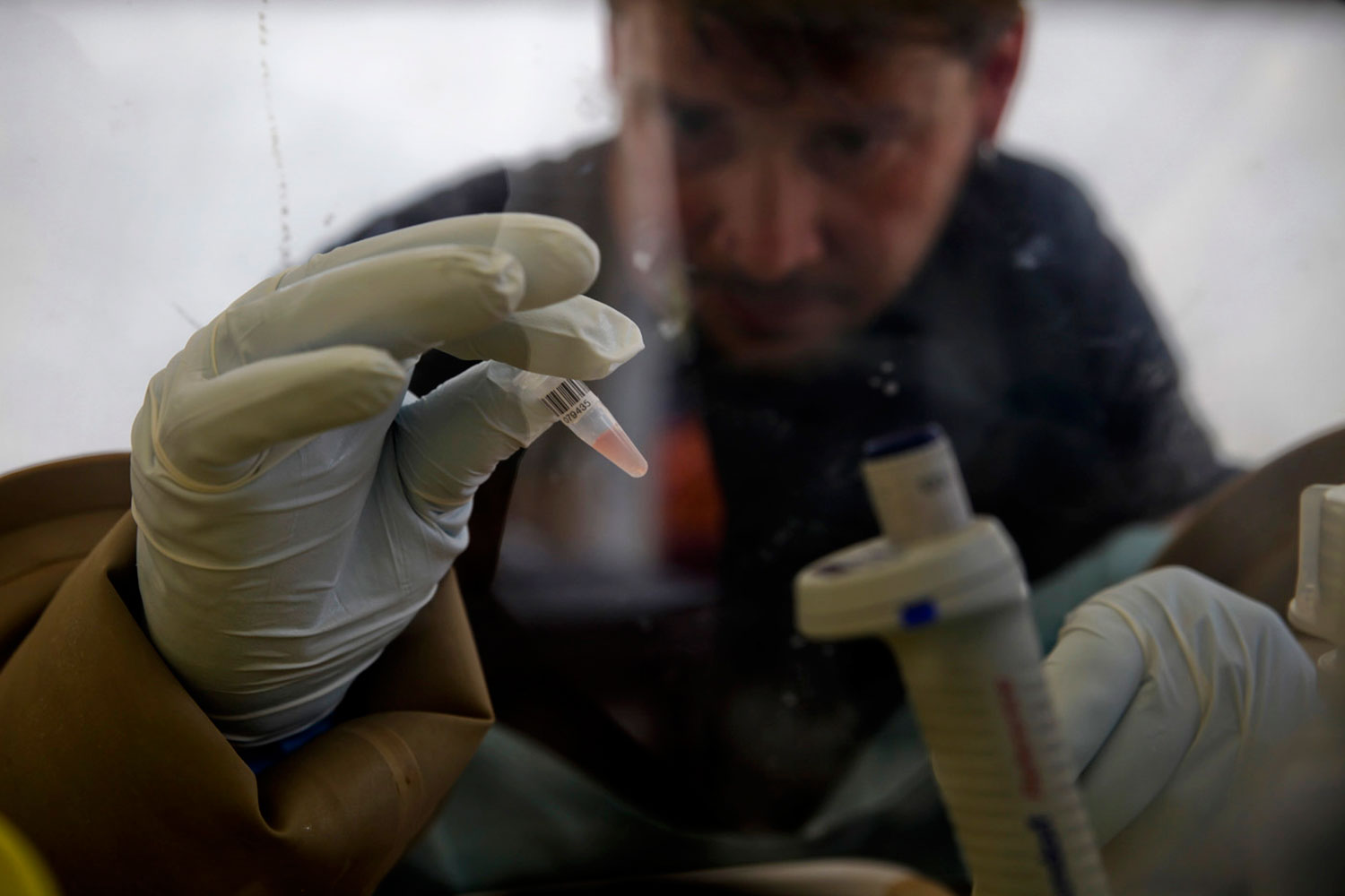 A scientist separates plasma cells to isolate any Ebola RNA in order to test for the virus at the European Mobile Laboratory in Gueckedou, Guinea, on April 3, 2014