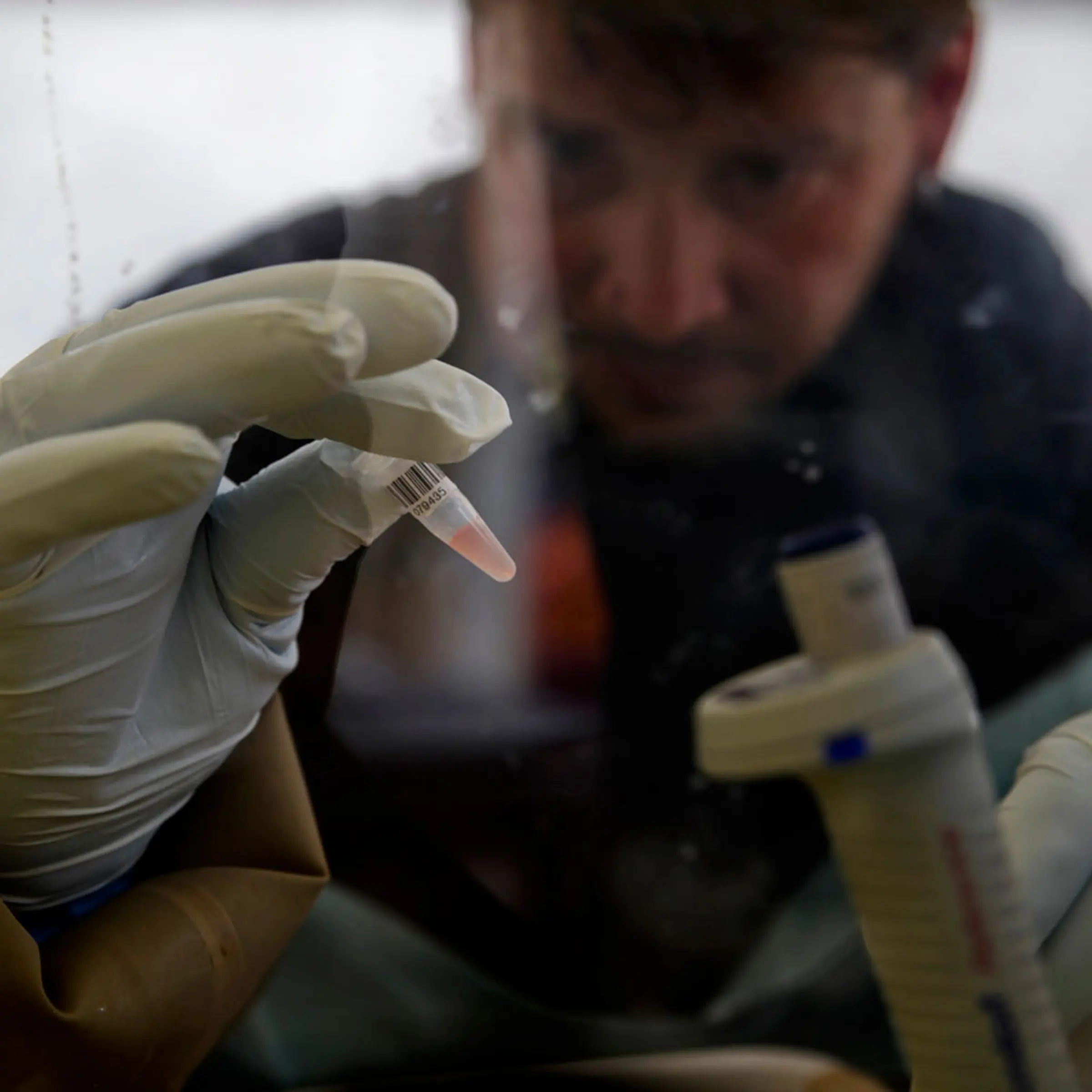 A scientist separates plasma cells to isolate any Ebola RNA in order to test for the virus at the European Mobile Laboratory in Gueckedou, Guinea, on April 3, 2014