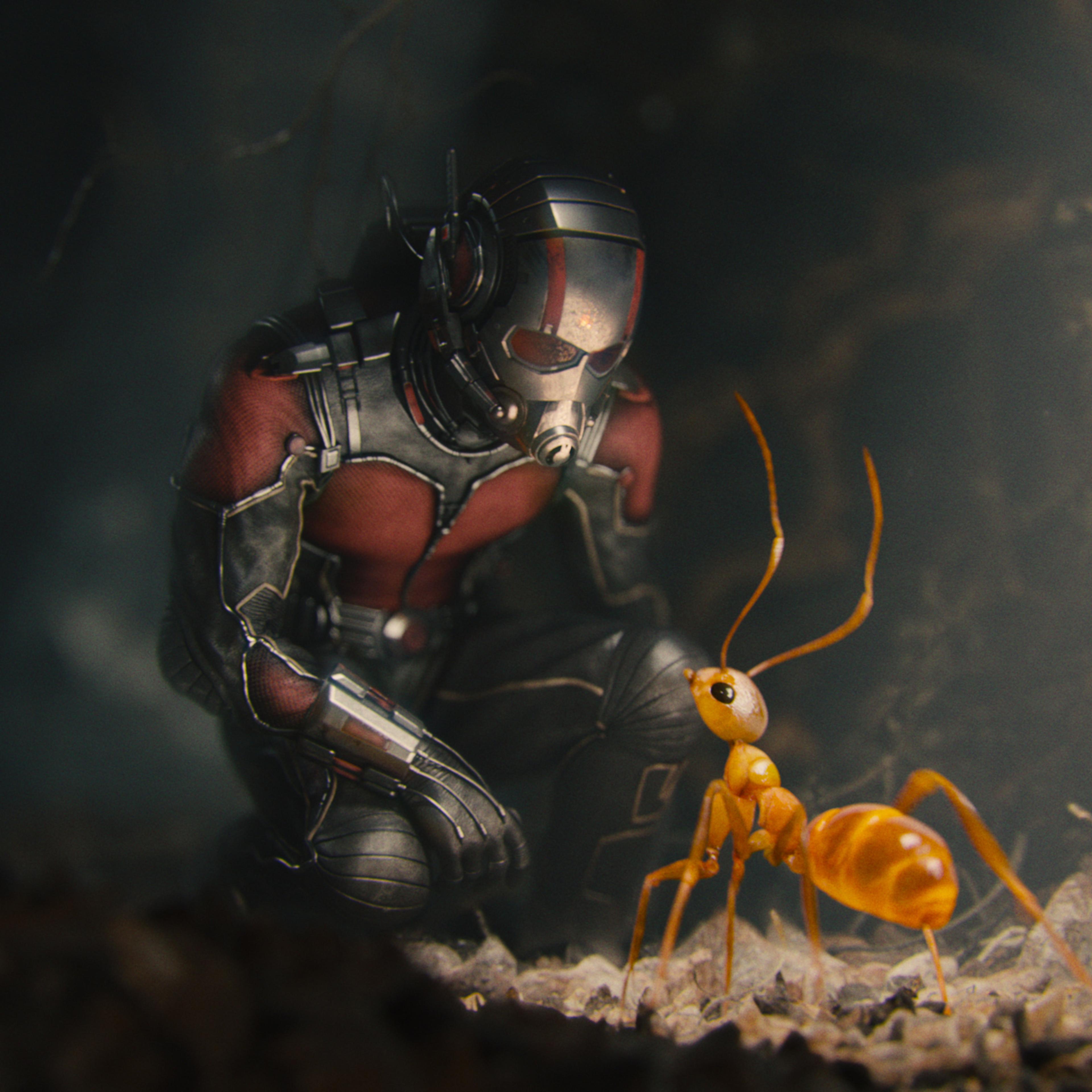 marvel ant man