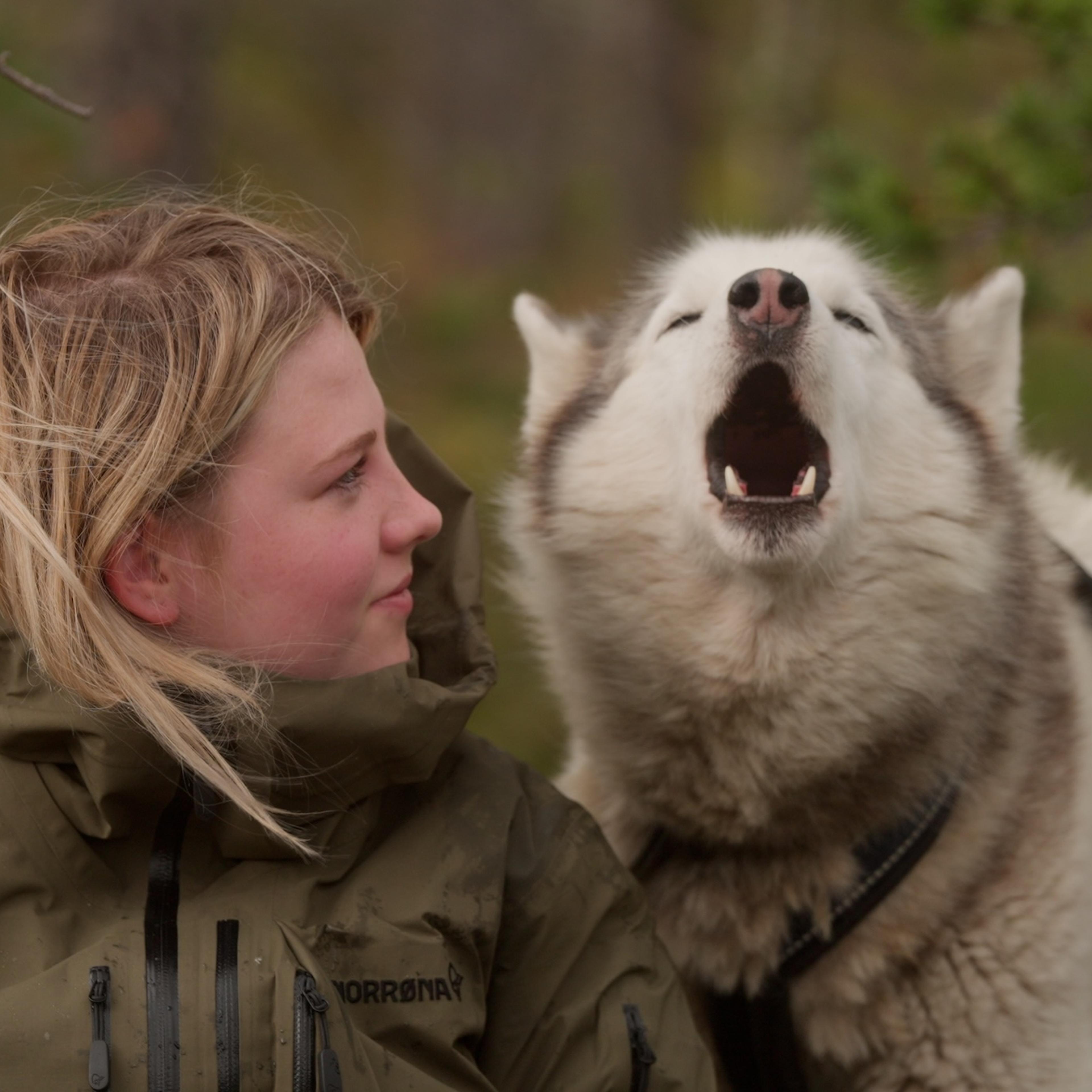 Hege and Odin in Folktales