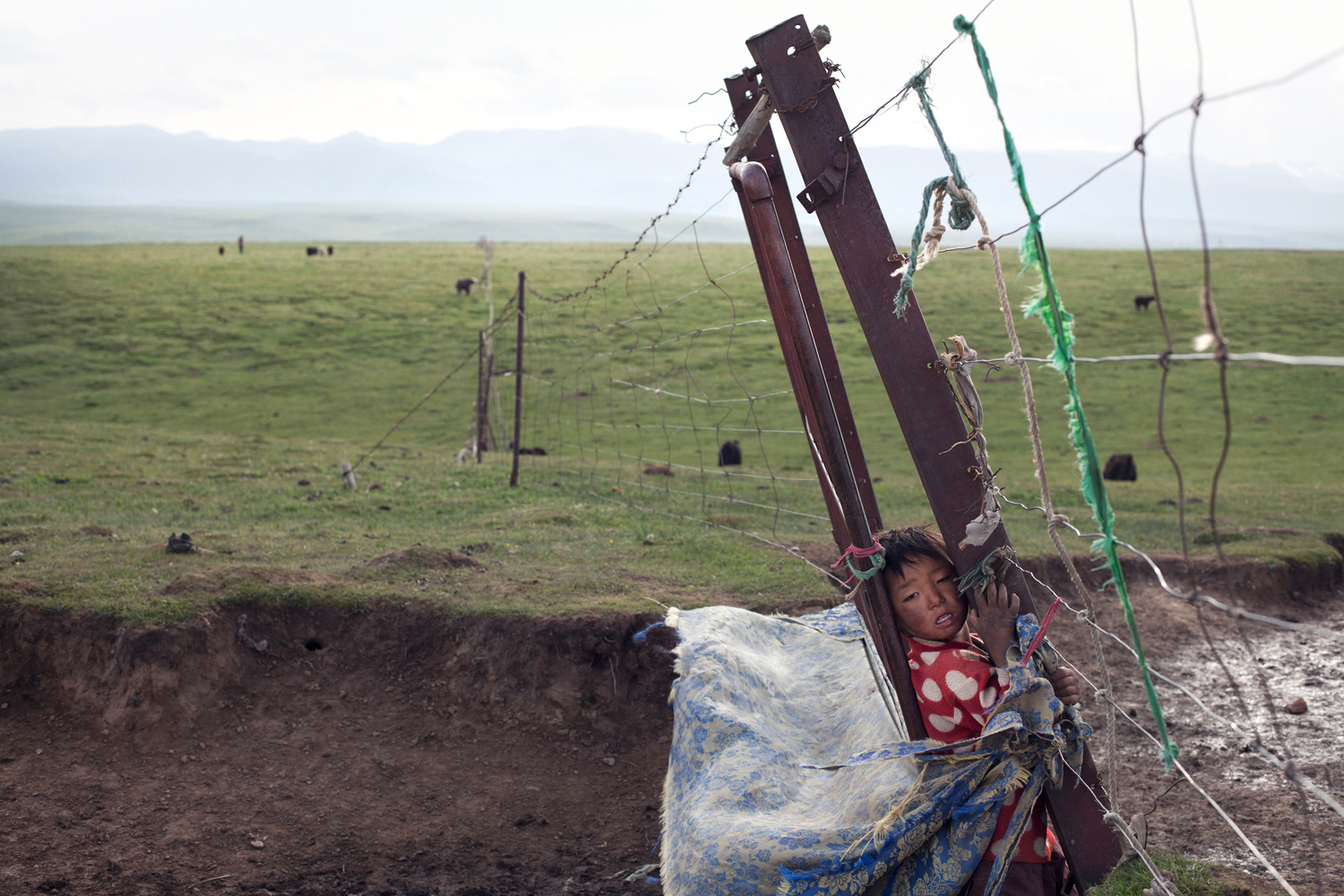 A Tibetan boy plays by his family's property fence, Duo Fu Dun, Qinghai.