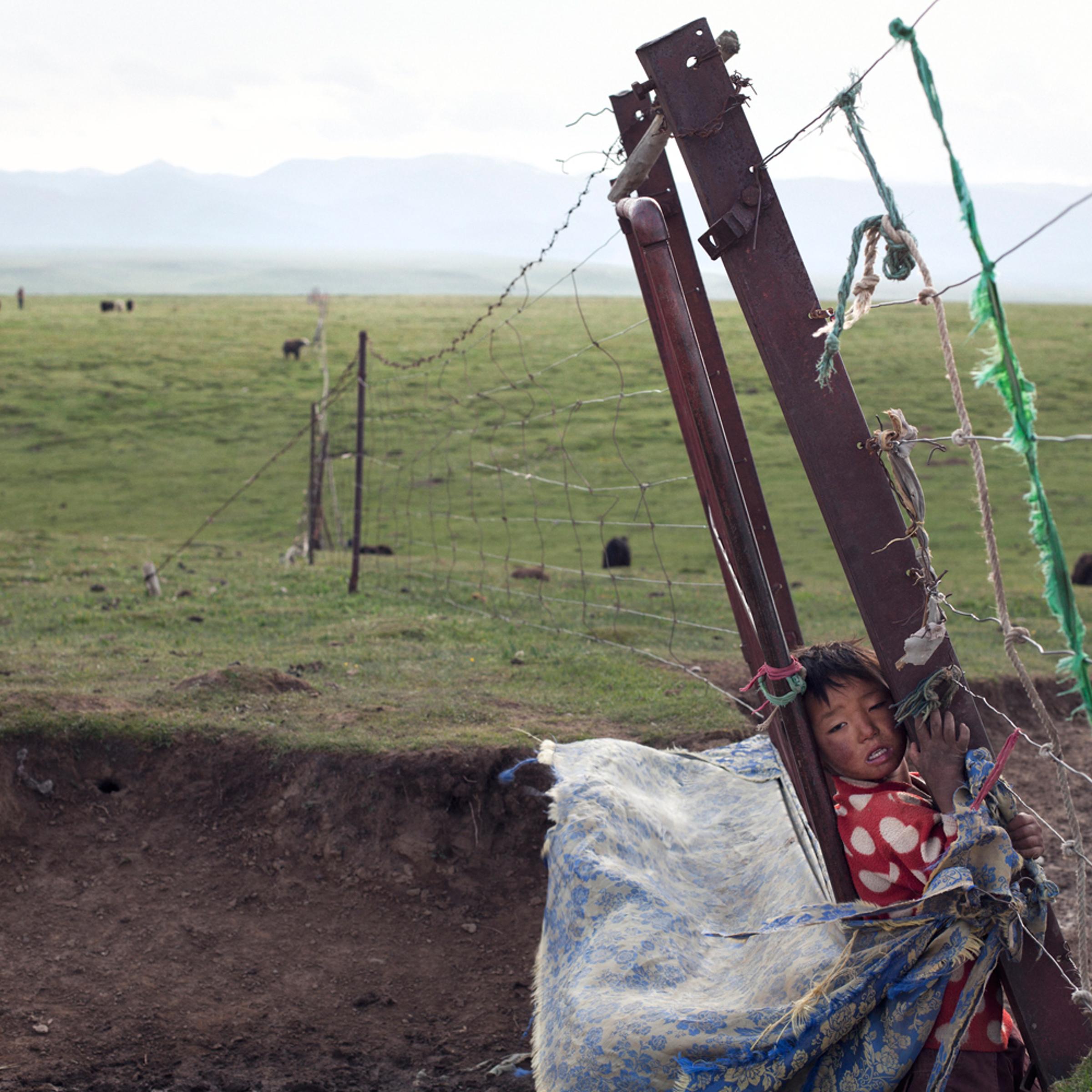 A Tibetan boy plays by his family's property fence, Duo Fu Dun, Qinghai.