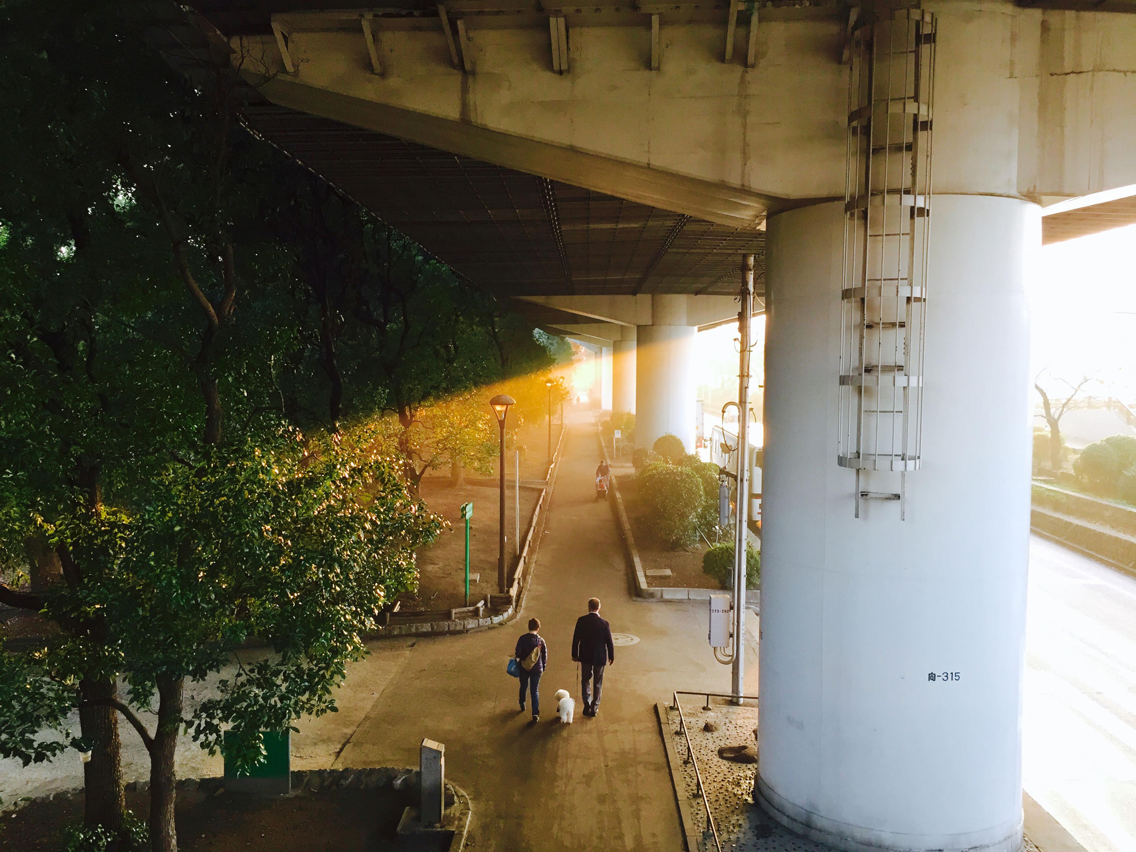 Kototoi Bridge, Tokyo