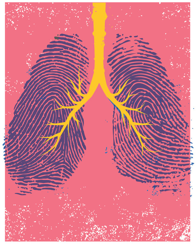 Illustration of lungs