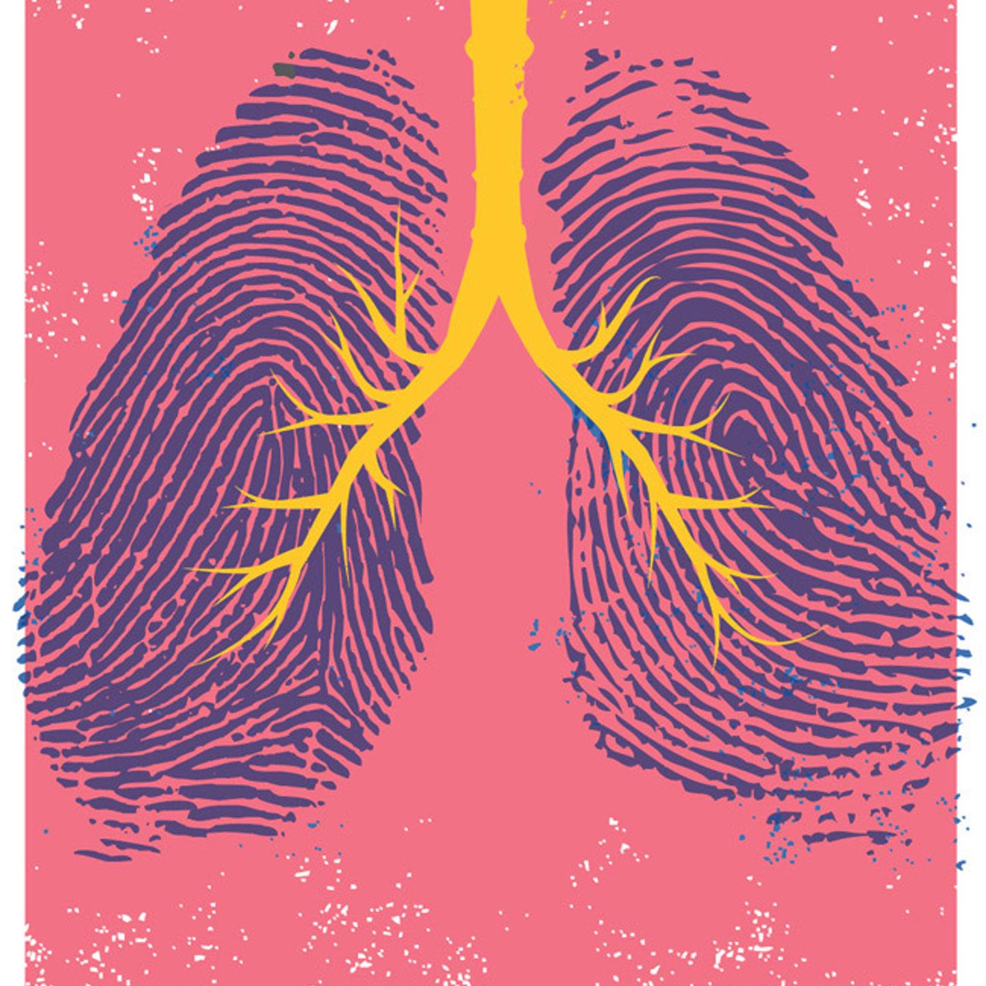 Illustration of lungs