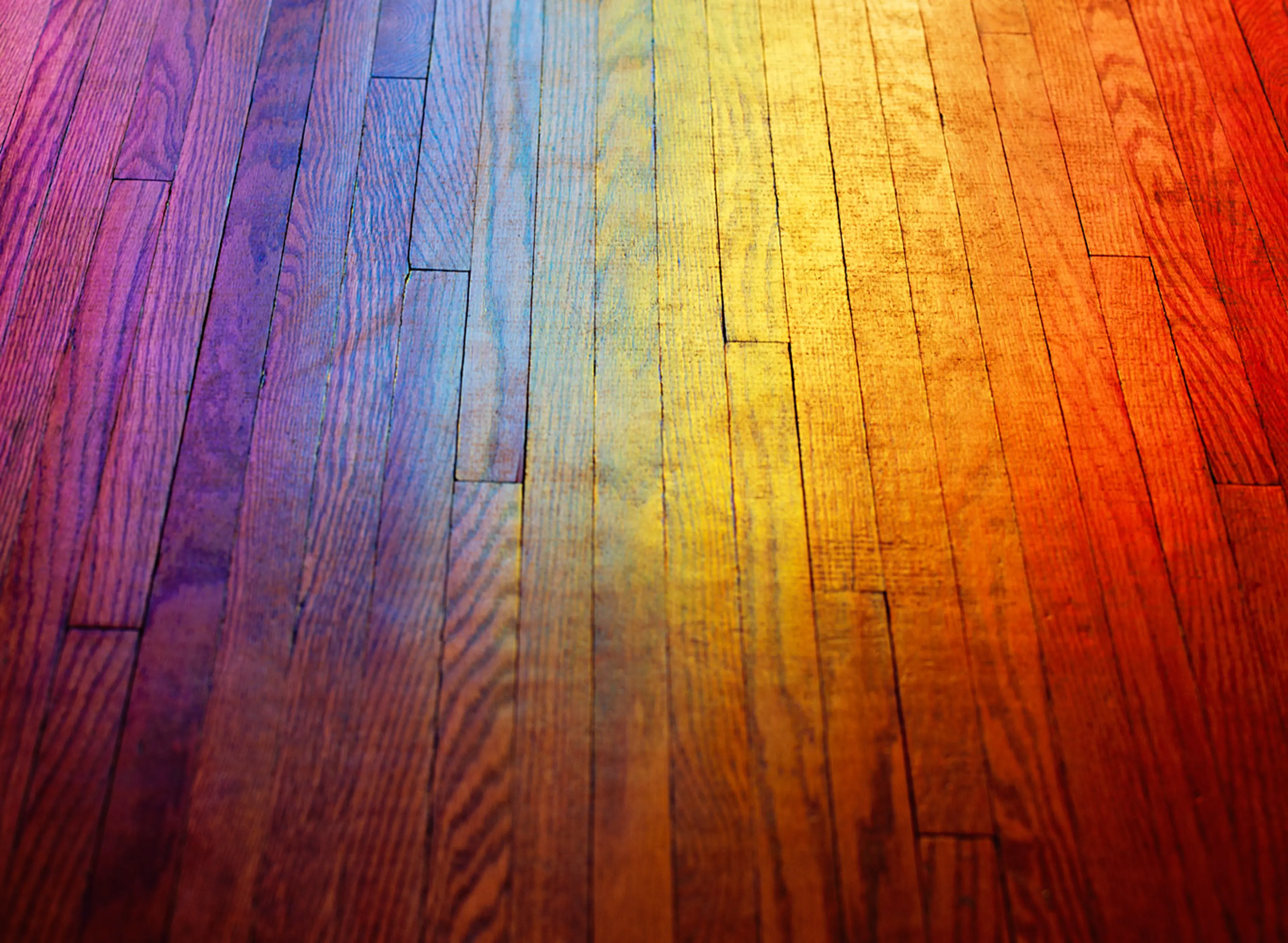 Spectrum 2, 2009