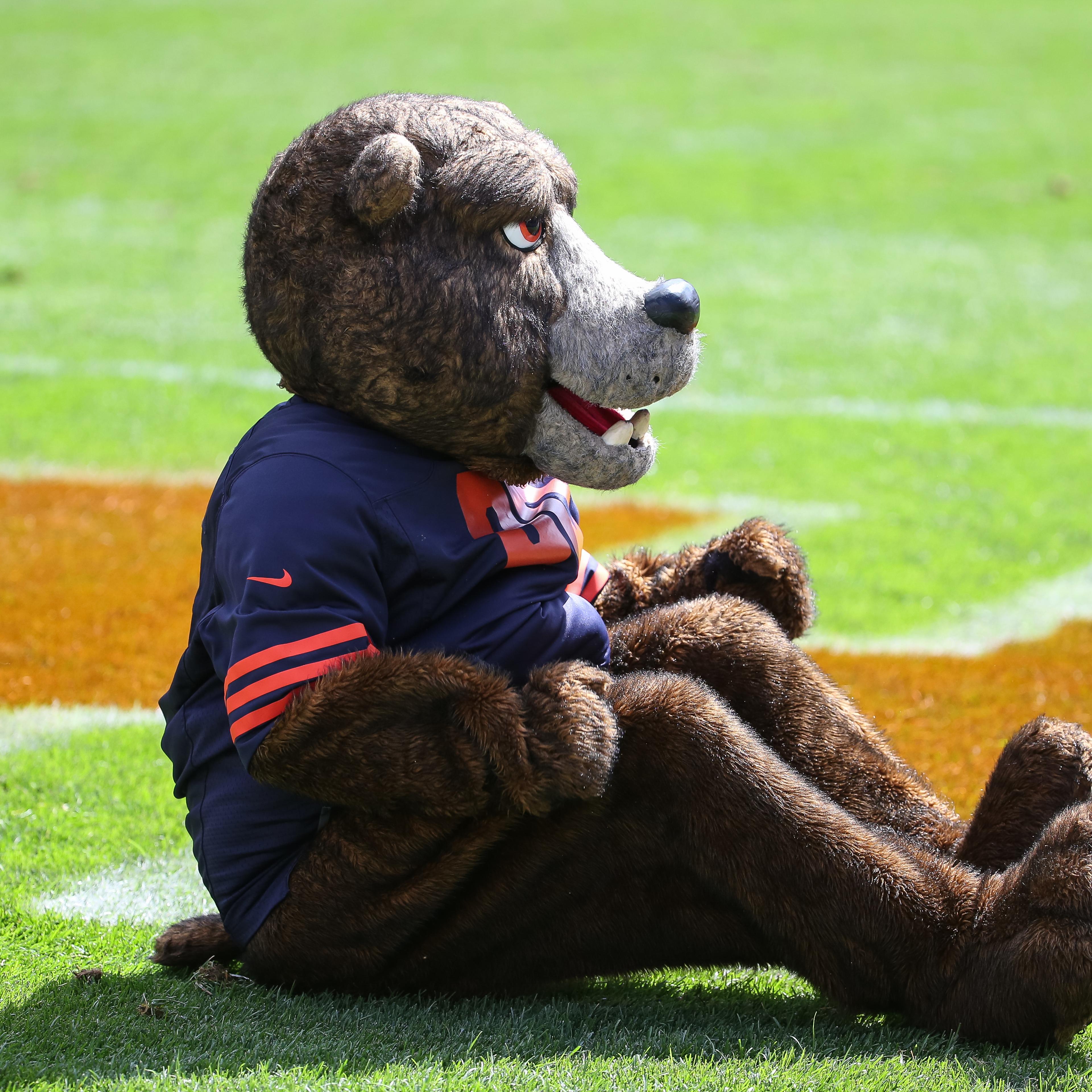 Bears mascot goes viral