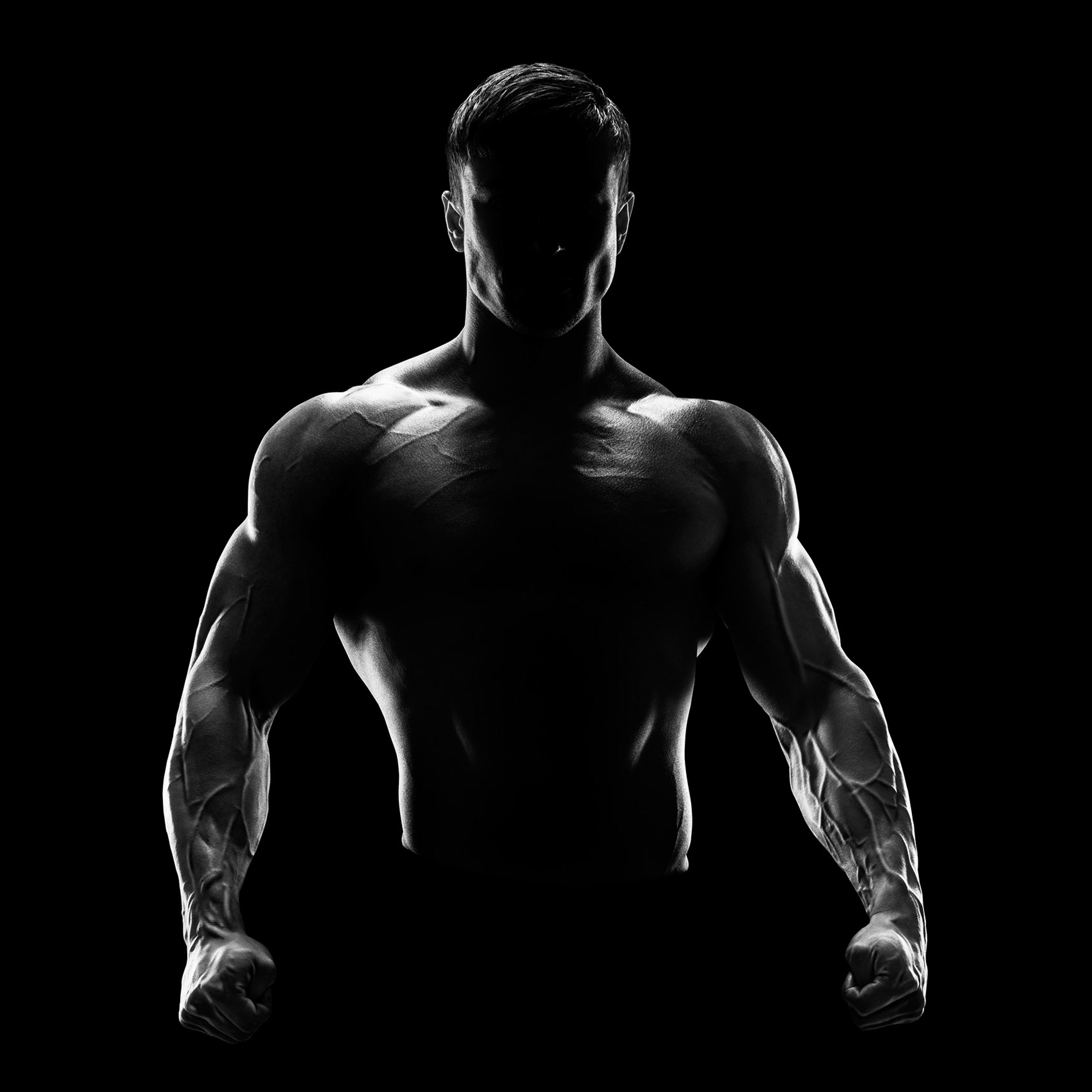Silhouette of a strong fighter