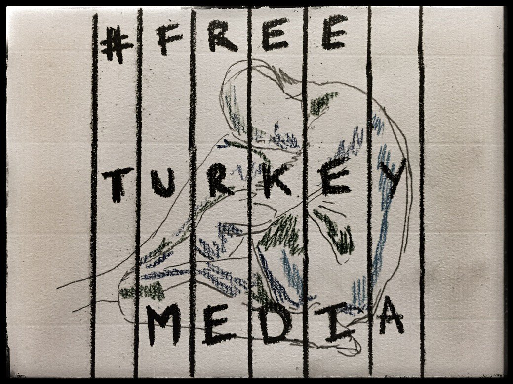 A cartoon for Amnesty International's FreeTurkeyMedia campaign by cartoonist Ian Overton