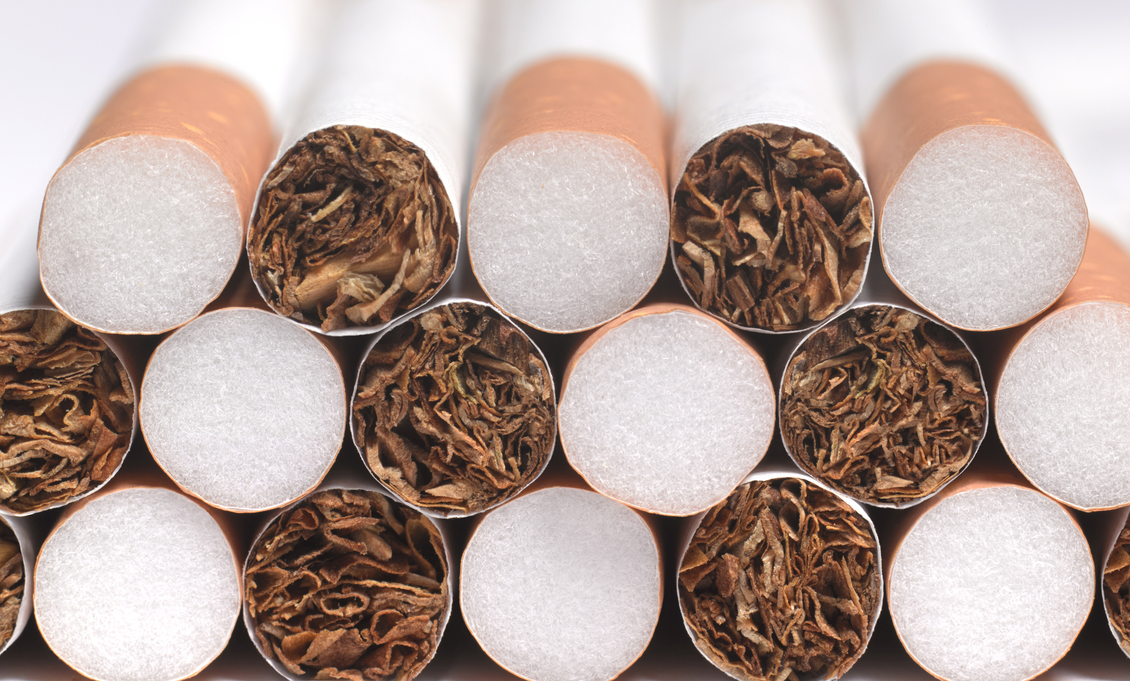 cancers caused by cigarette smoking The Content  Science Education Enhances Knowledge (SEEK)