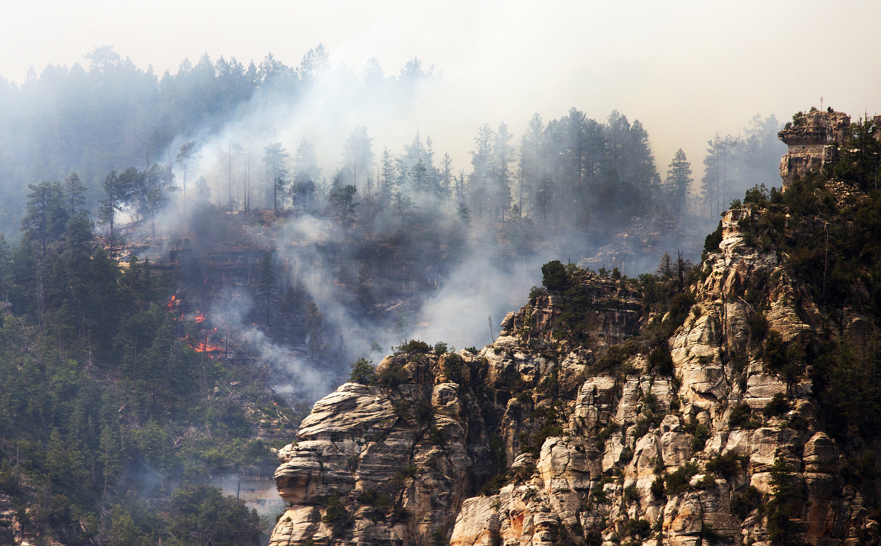 Arizona Wild Fire
