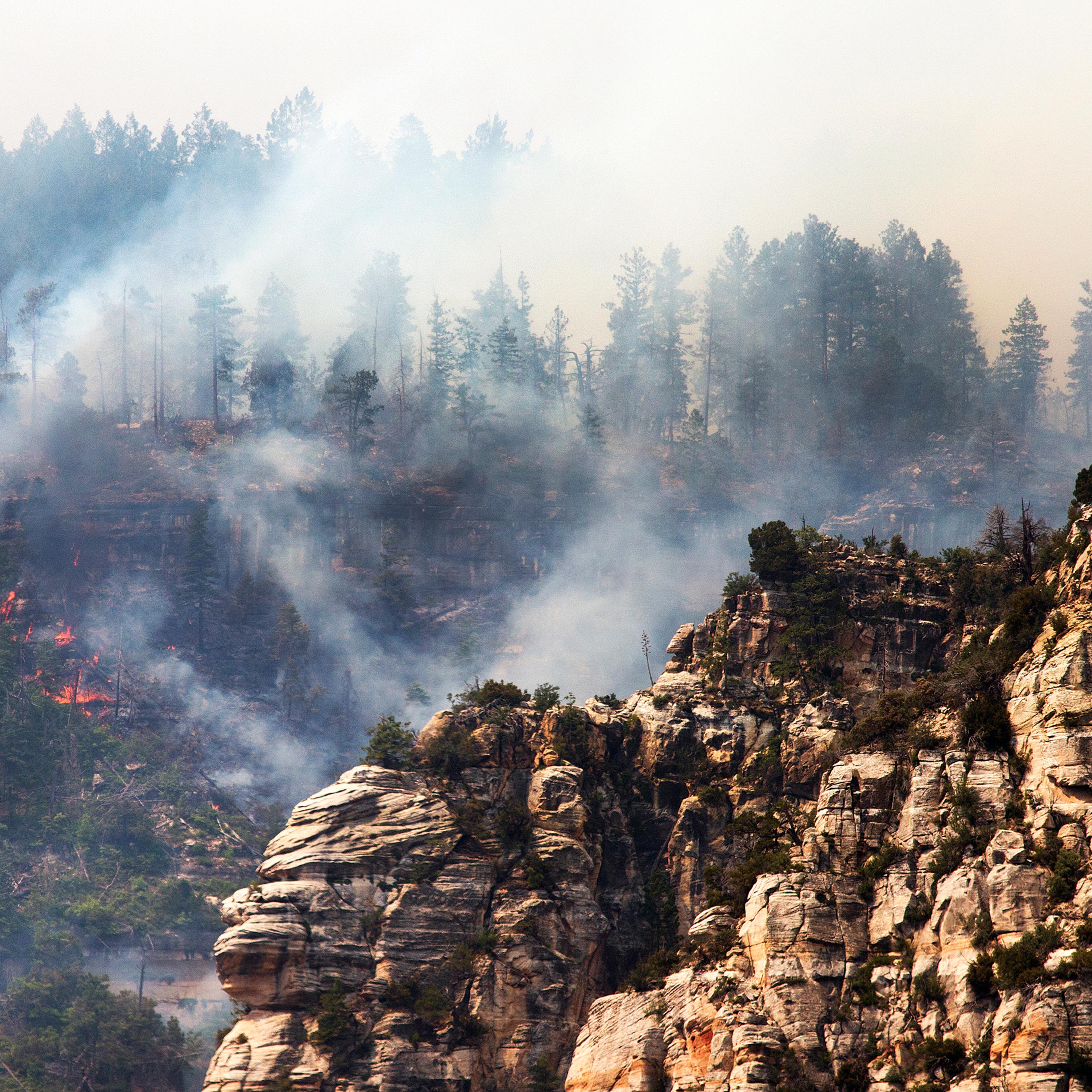 Arizona Wild Fire
