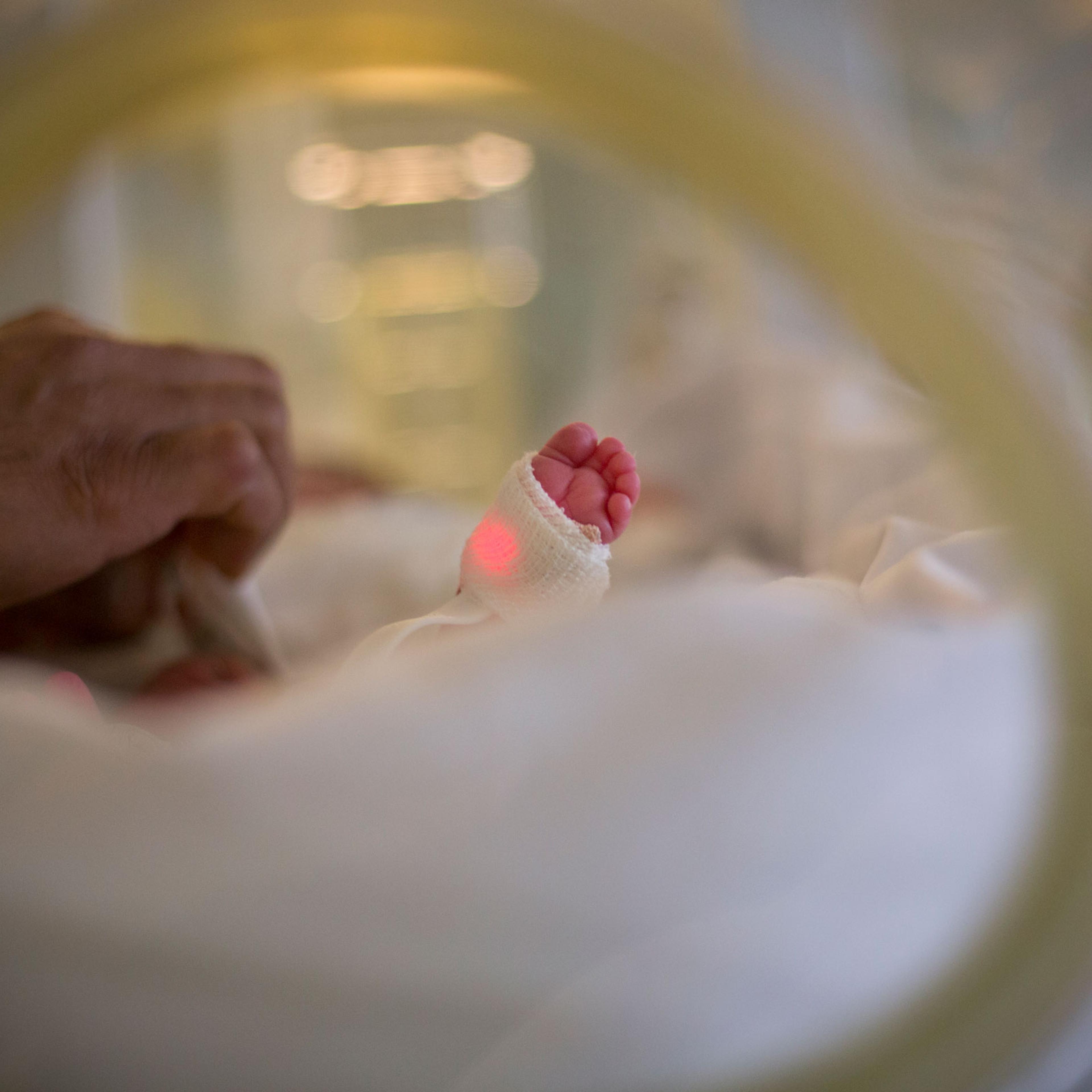 Newborn baby's feet and dad's hand