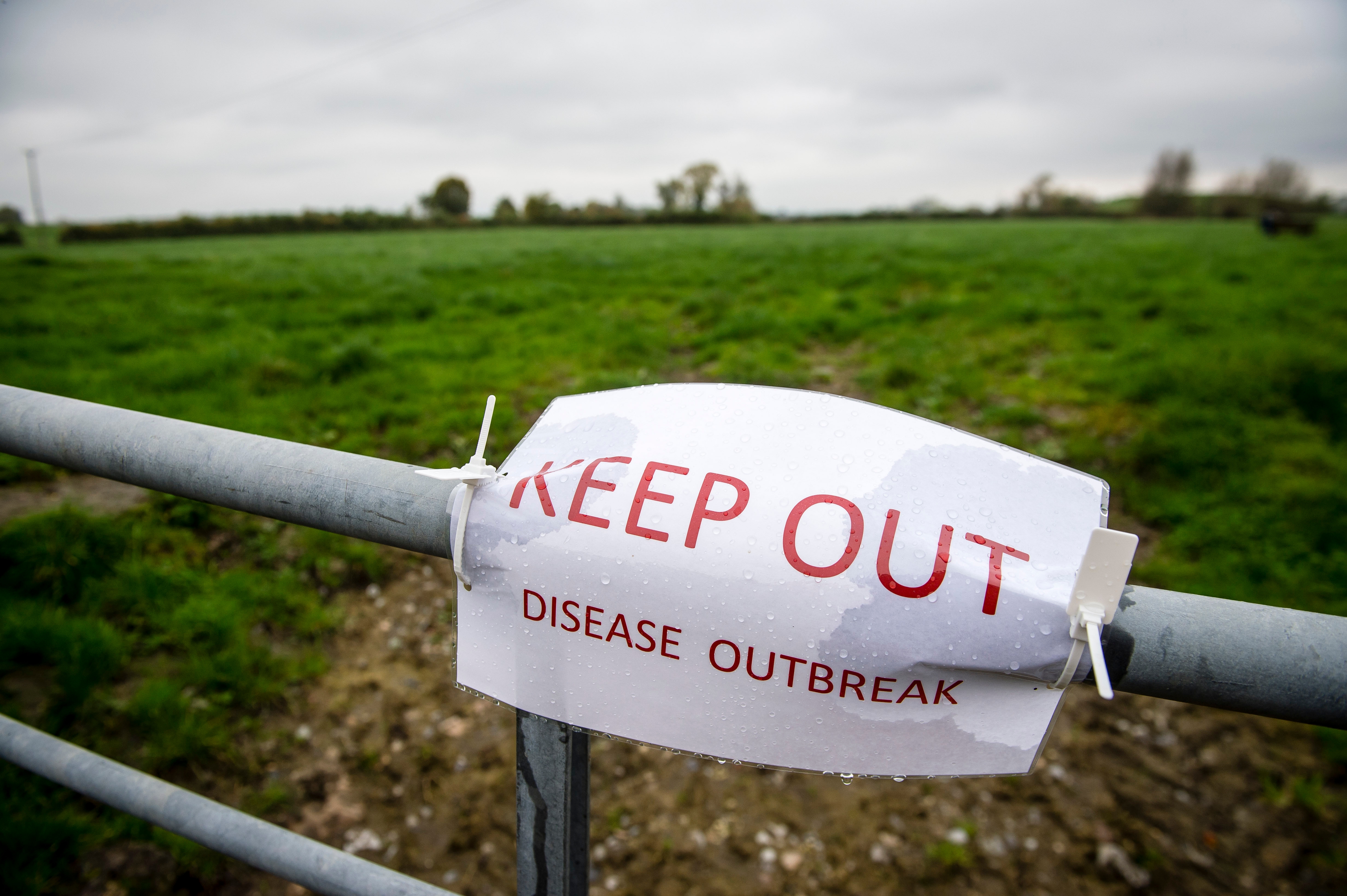 Anthrax is common in the US but the number of human deaths it causes is low