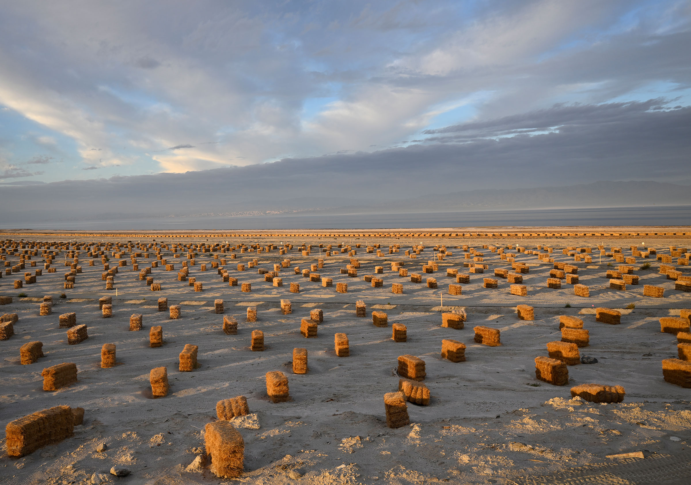 How to Save the Colorado River and the American West