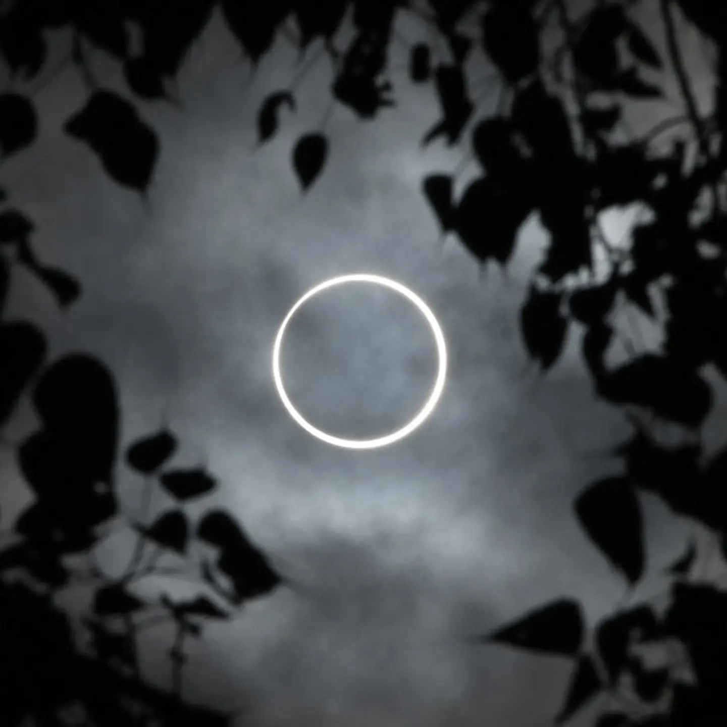 The moon totally covers the sun in a rare "ring of fire" solar eclipse as seen from the south Indian city of Dindigul in Tamil Nadu state on Dec. 26, 2019.
