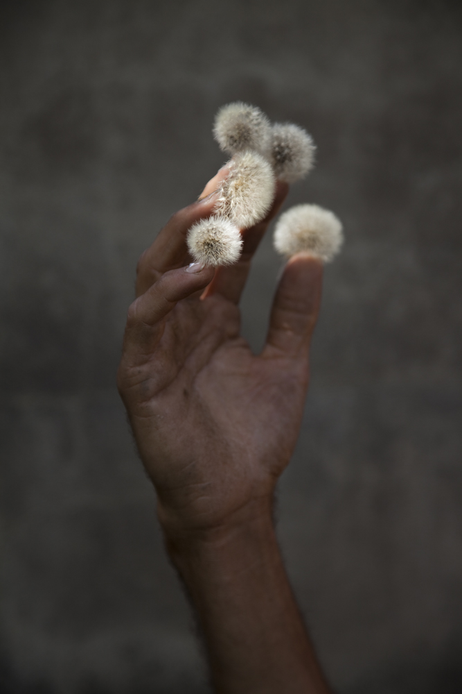 <i>Hand</i>, 2009
