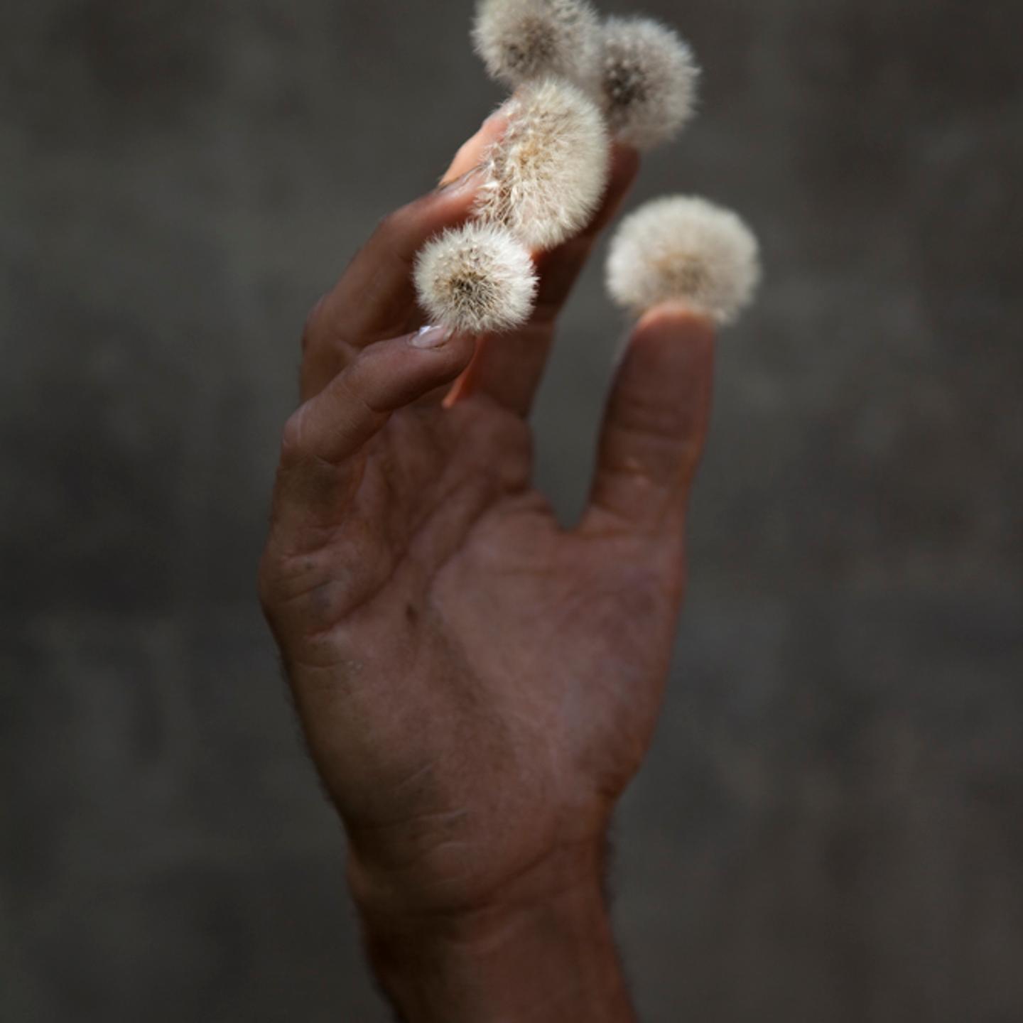 <i>Hand</i>, 2009