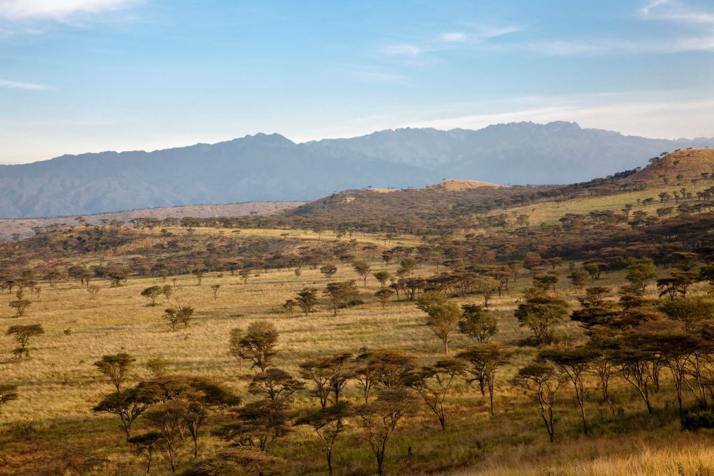 Queen Elizabeth National Park