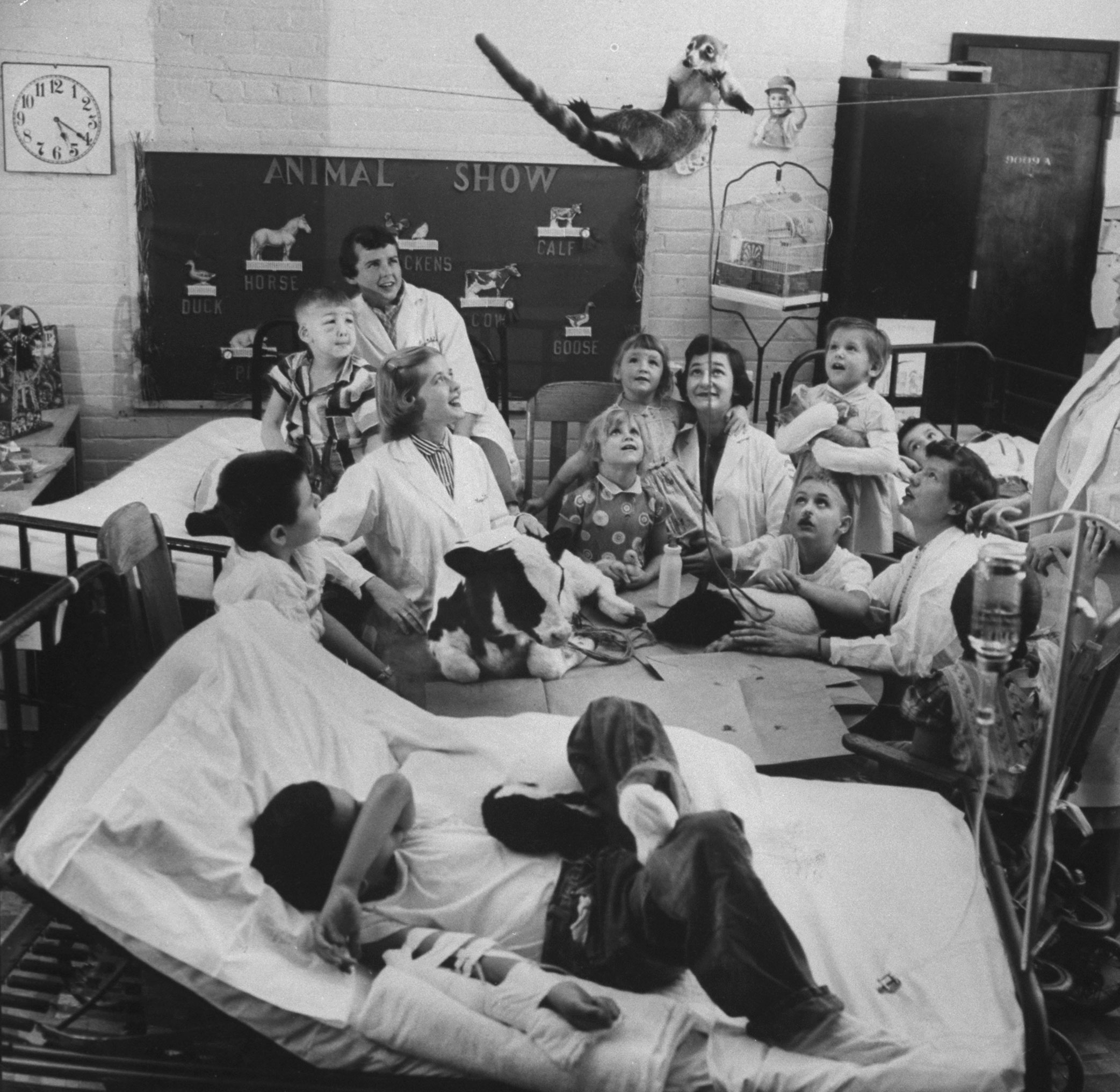 'Animals Make a Hospital Happy': Photos of Critters Helping Sick Kids