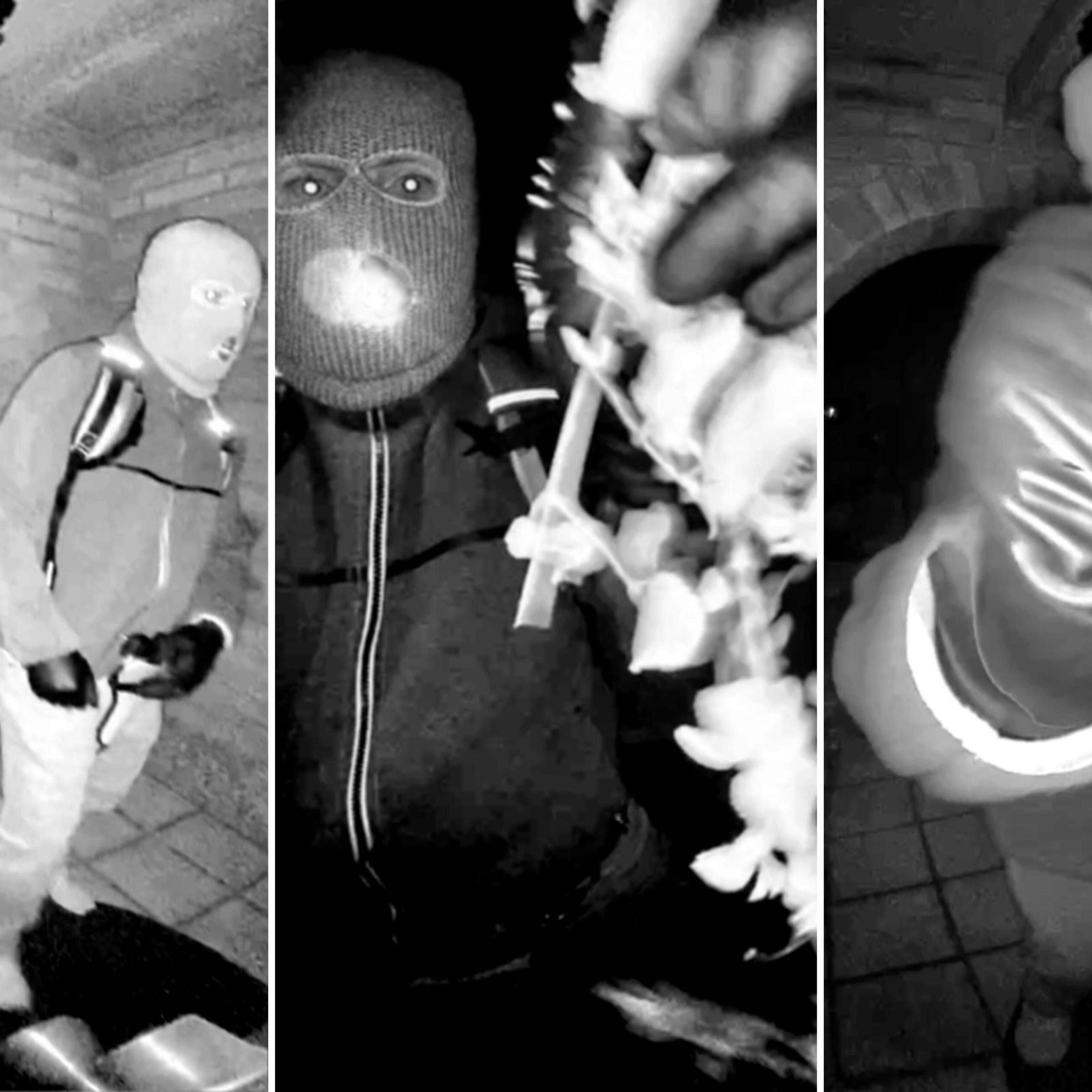 Video screen grabs of home camera from Nancy Guthrie's front doot