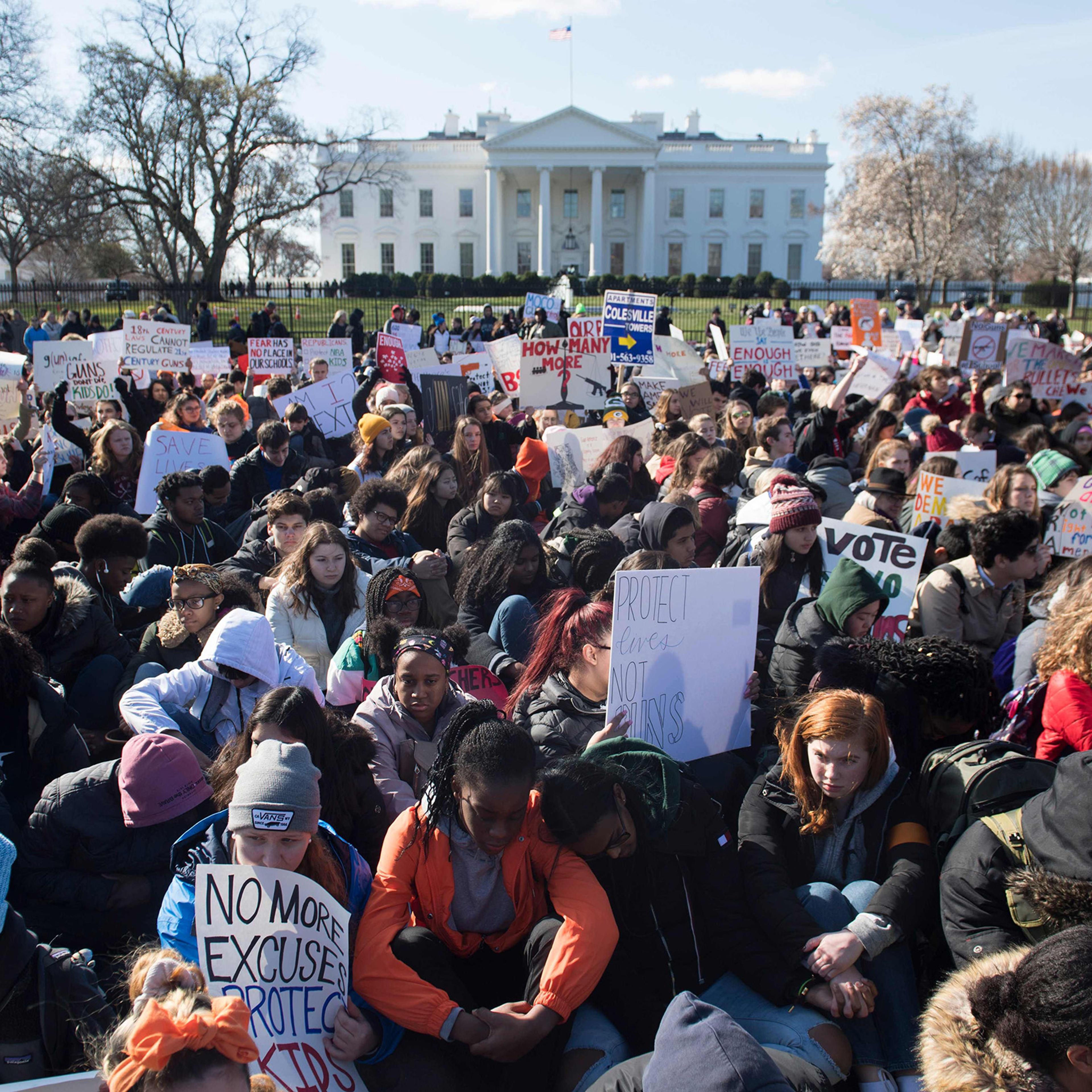 students school walkout stoneman douglas school shooting gun control Florida New York City